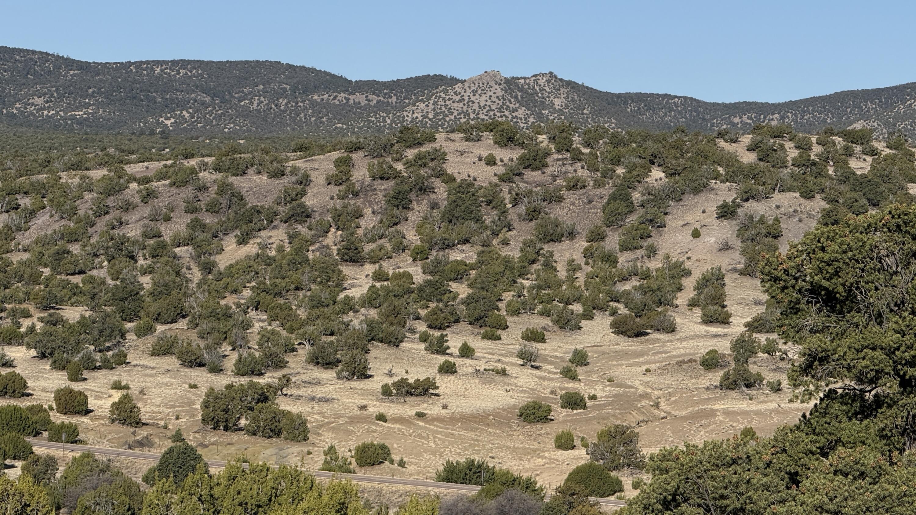 Lot 21 Pinon Springs Ranch
