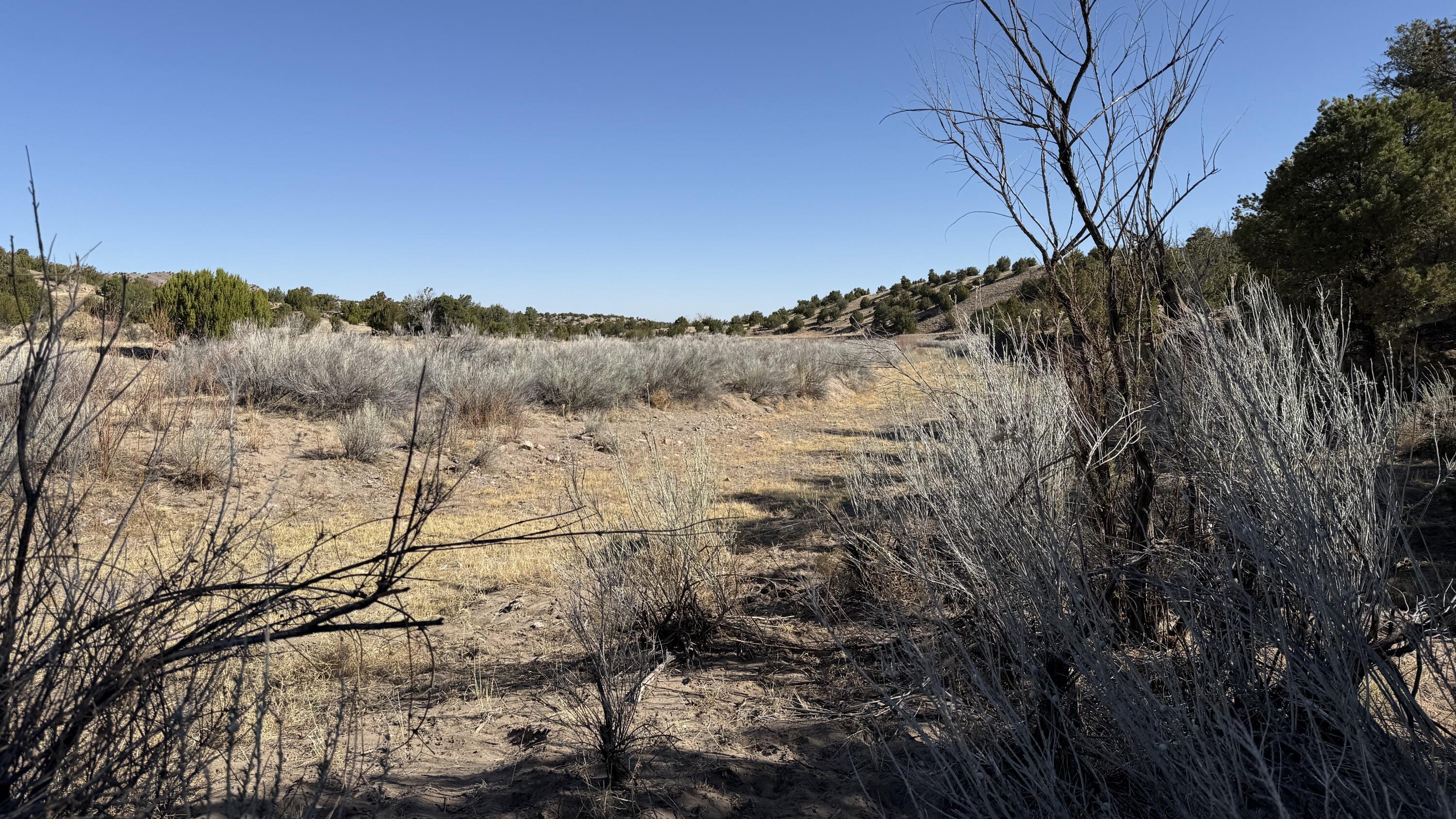 Lot 21 Pinon Springs Ranch