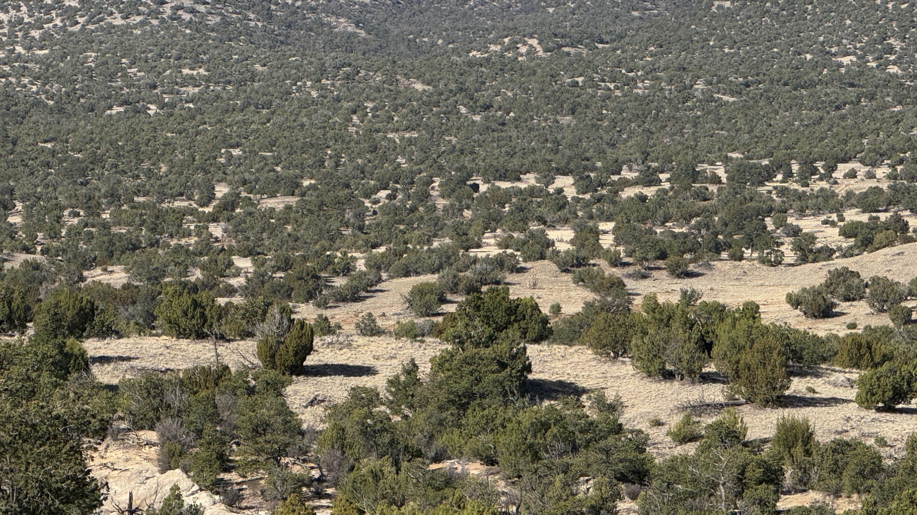 Lot 21 Pinon Springs Ranch