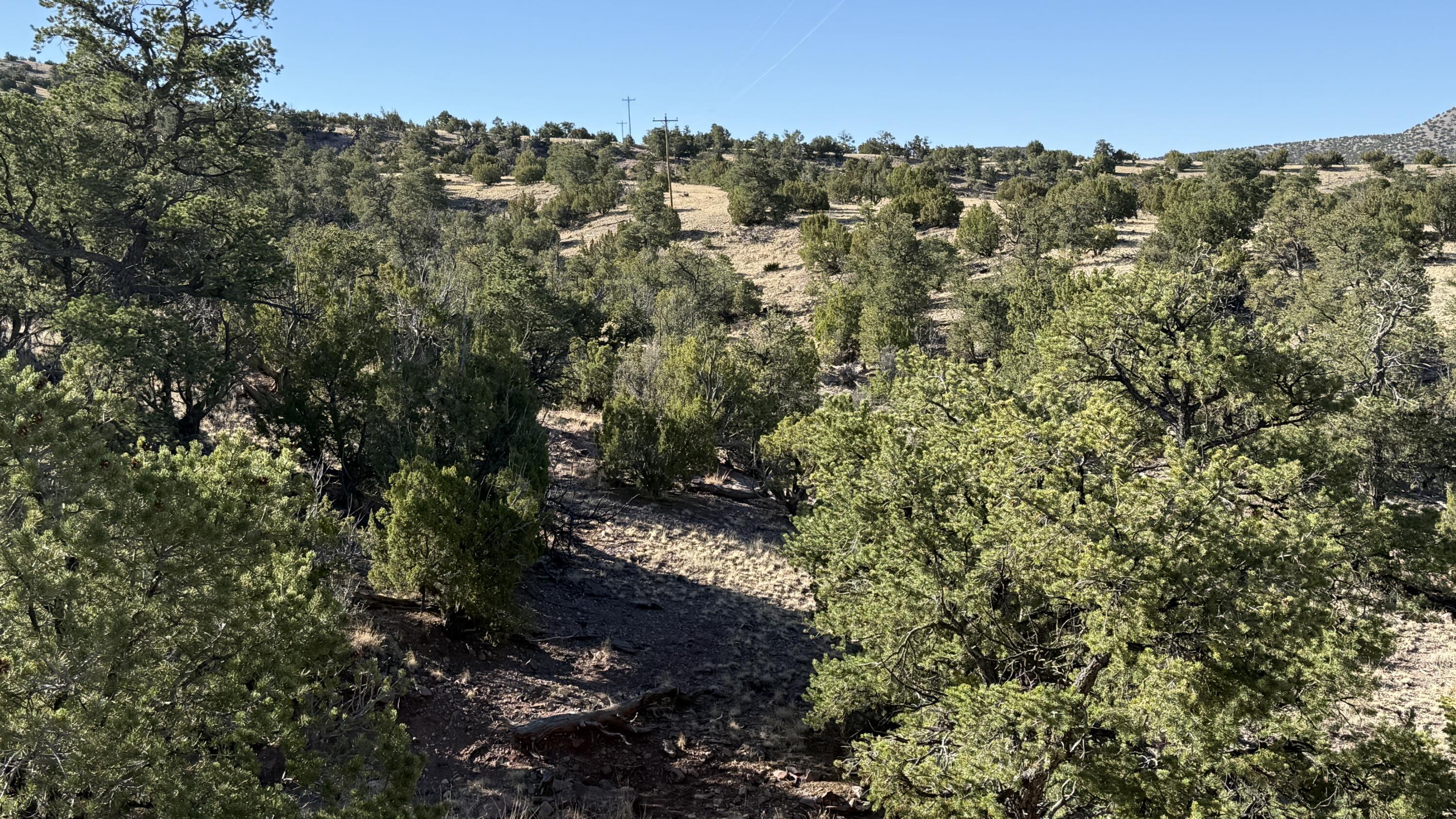 Lot 21 Pinon Springs Ranch