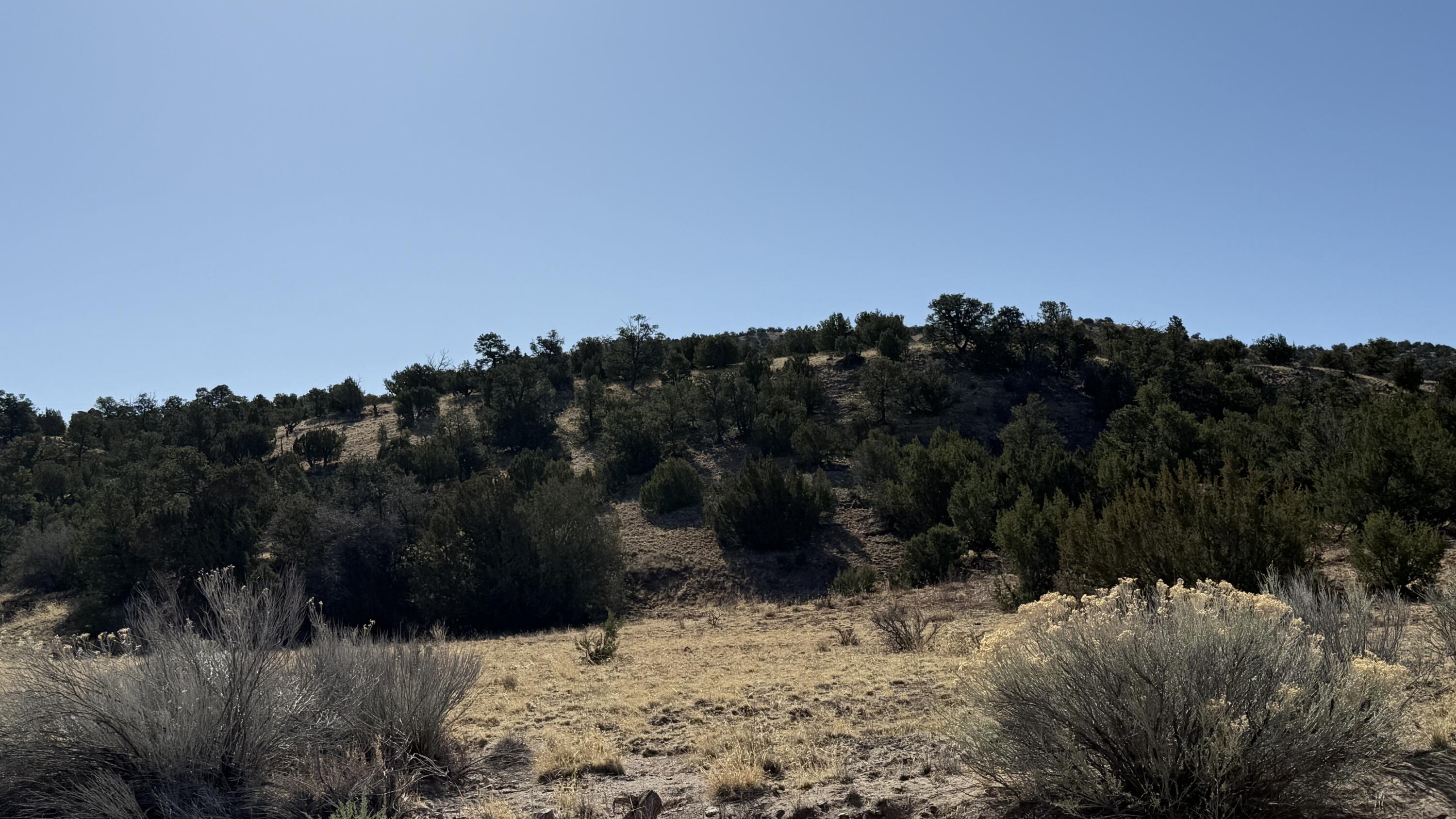 Lot 21 Pinon Springs Ranch