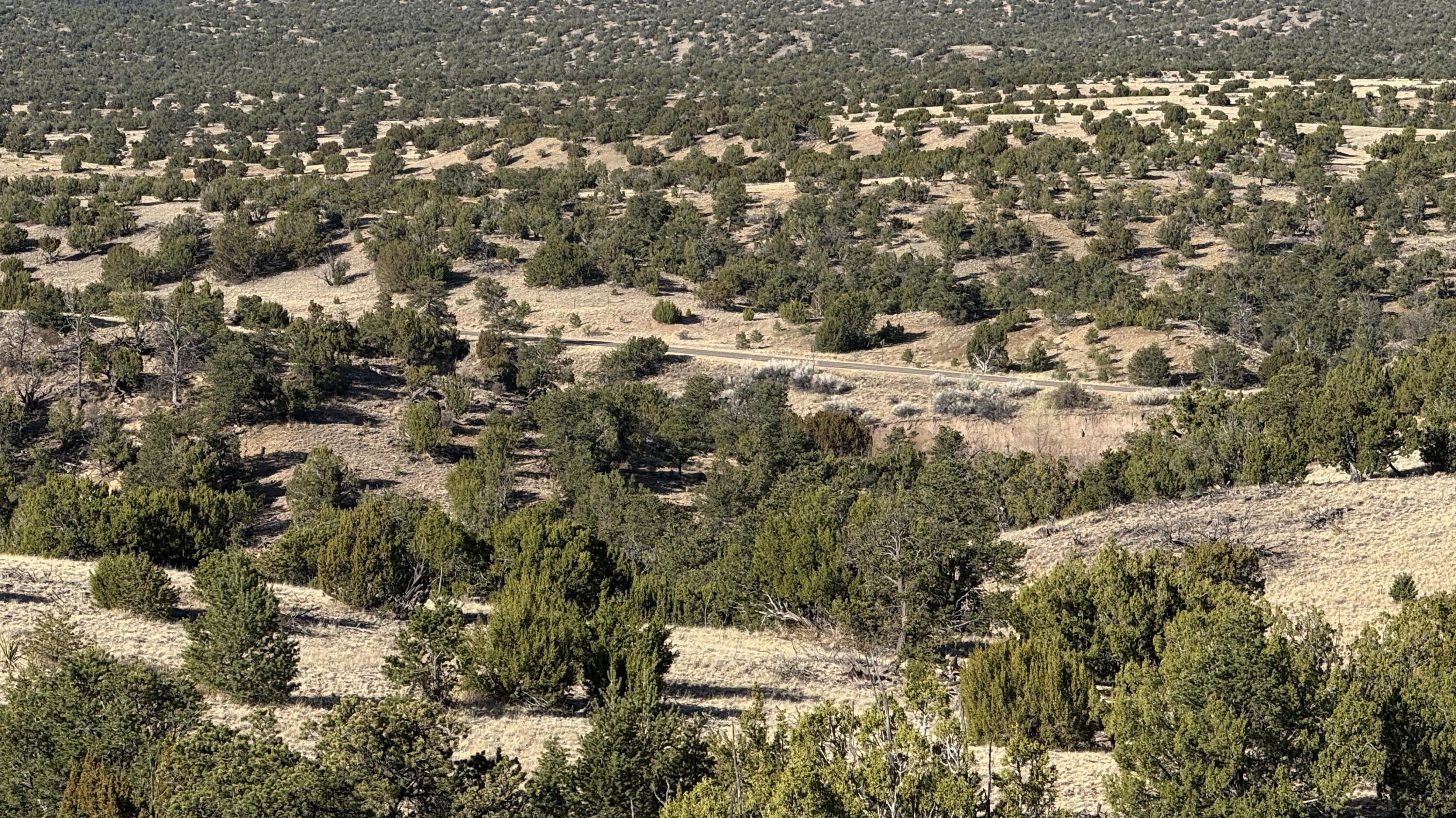 Lot 21 Pinon Springs Ranch