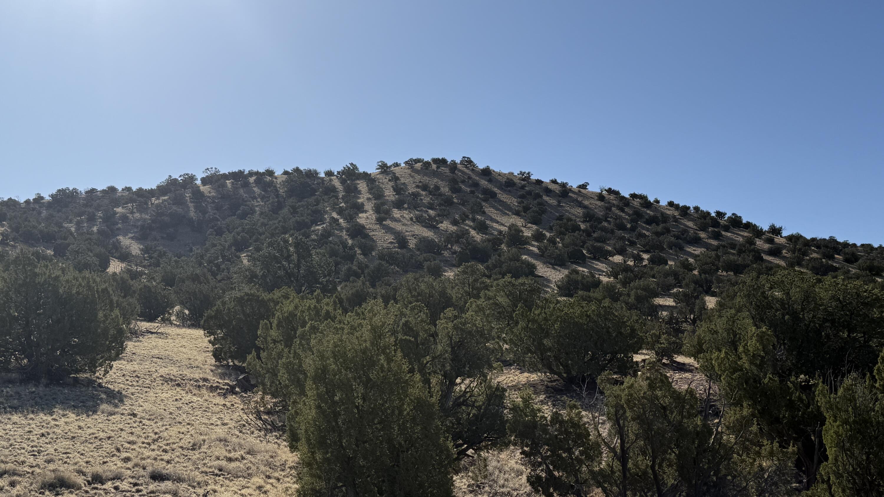 Lot 21 Pinon Springs Ranch