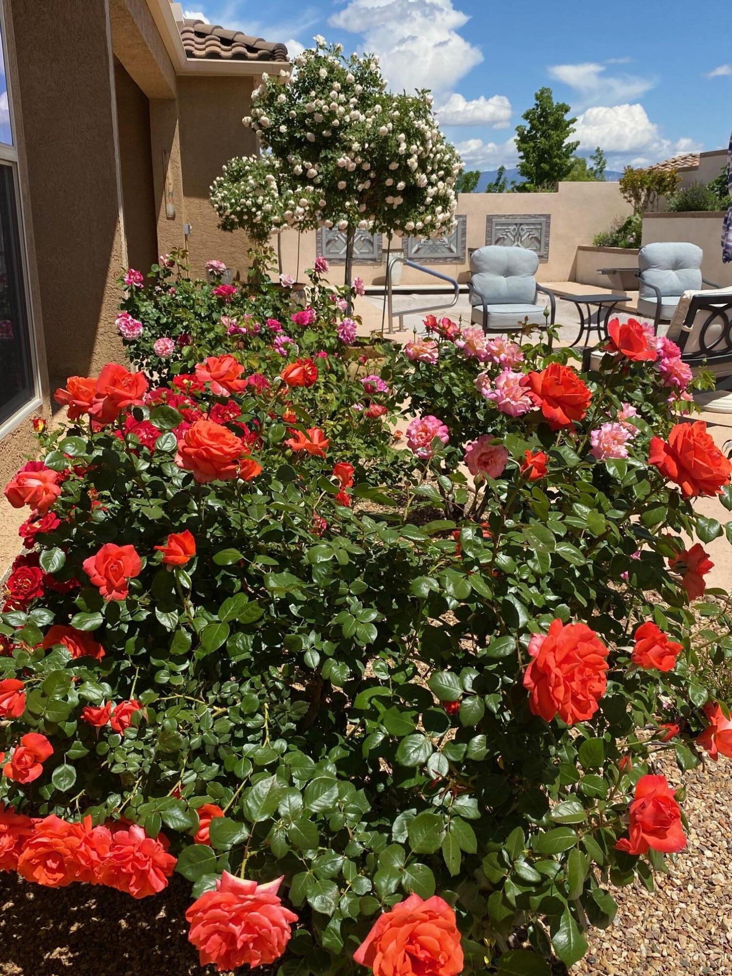 9300 IRON CREEK Lane NW