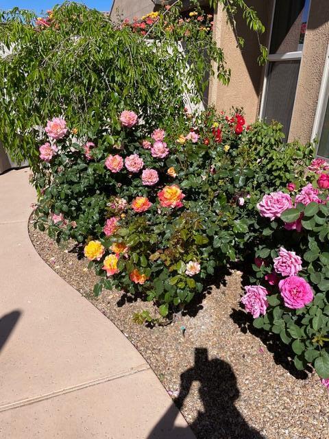 9300 IRON CREEK Lane NW