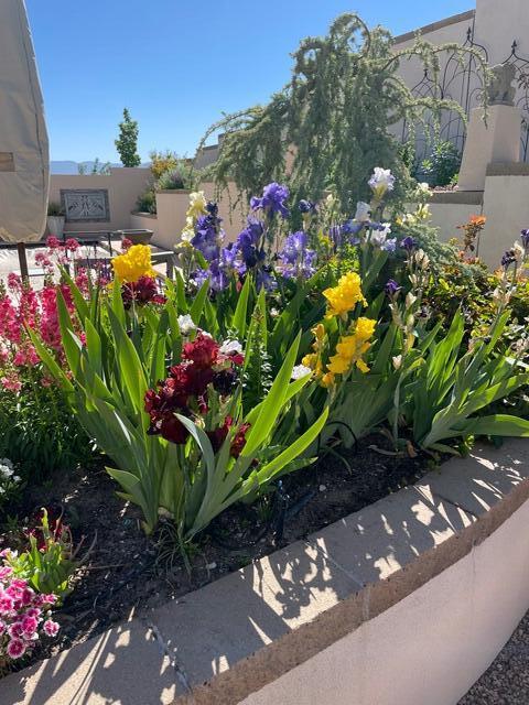 9300 IRON CREEK Lane NW