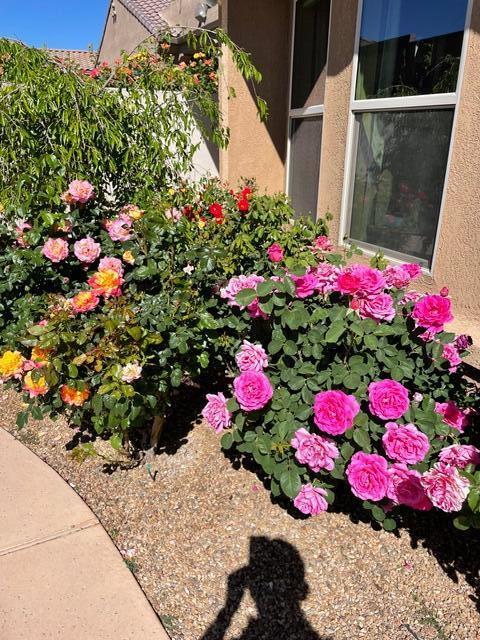 9300 IRON CREEK Lane NW