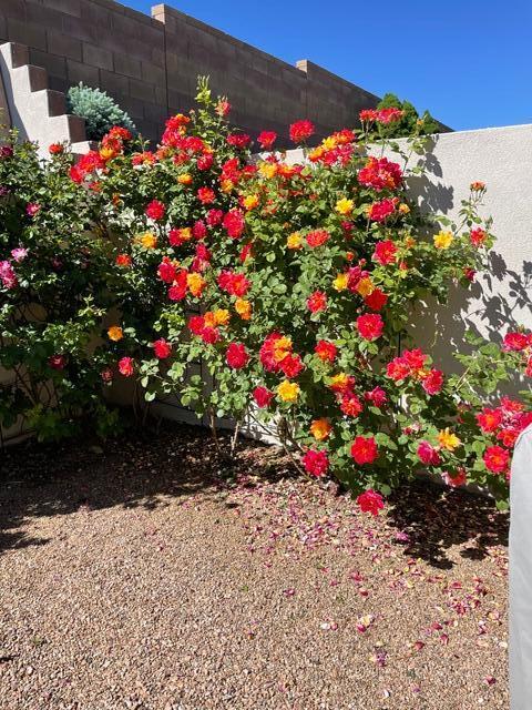 9300 IRON CREEK Lane NW