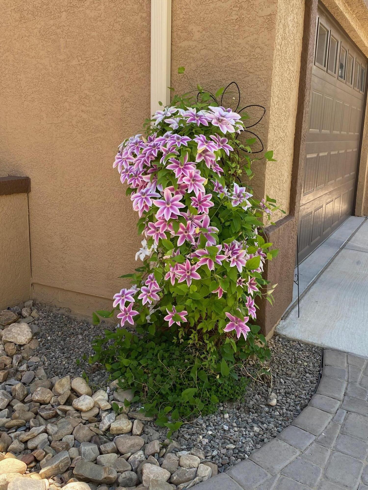 9300 IRON CREEK Lane NW