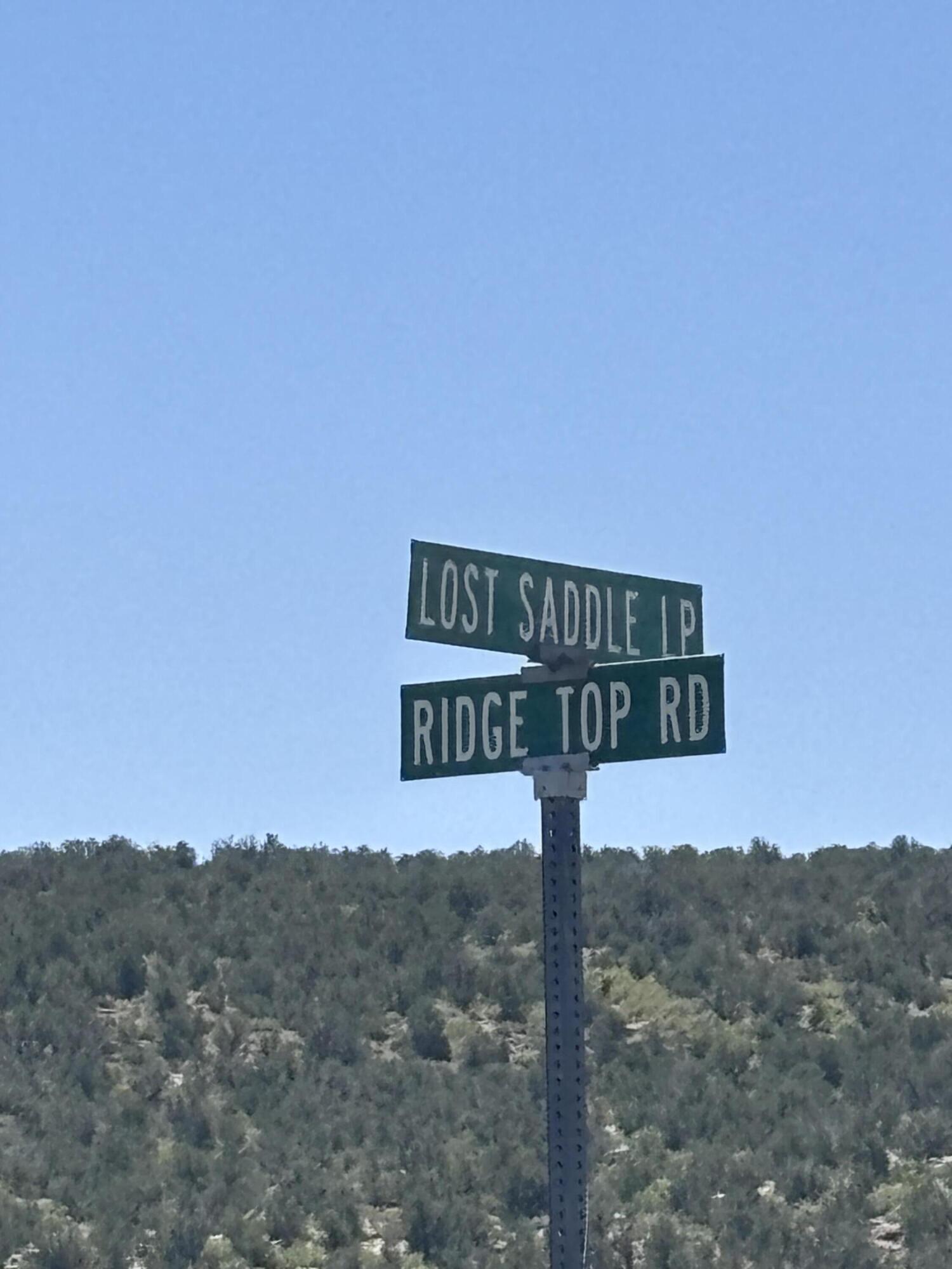 47 Lost Saddle Loop