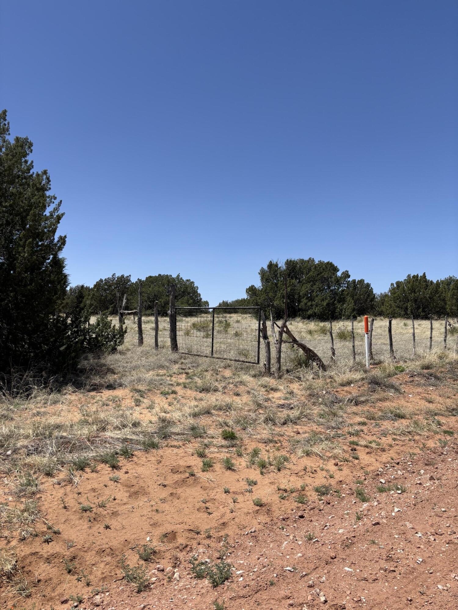 47 Lost Saddle Loop