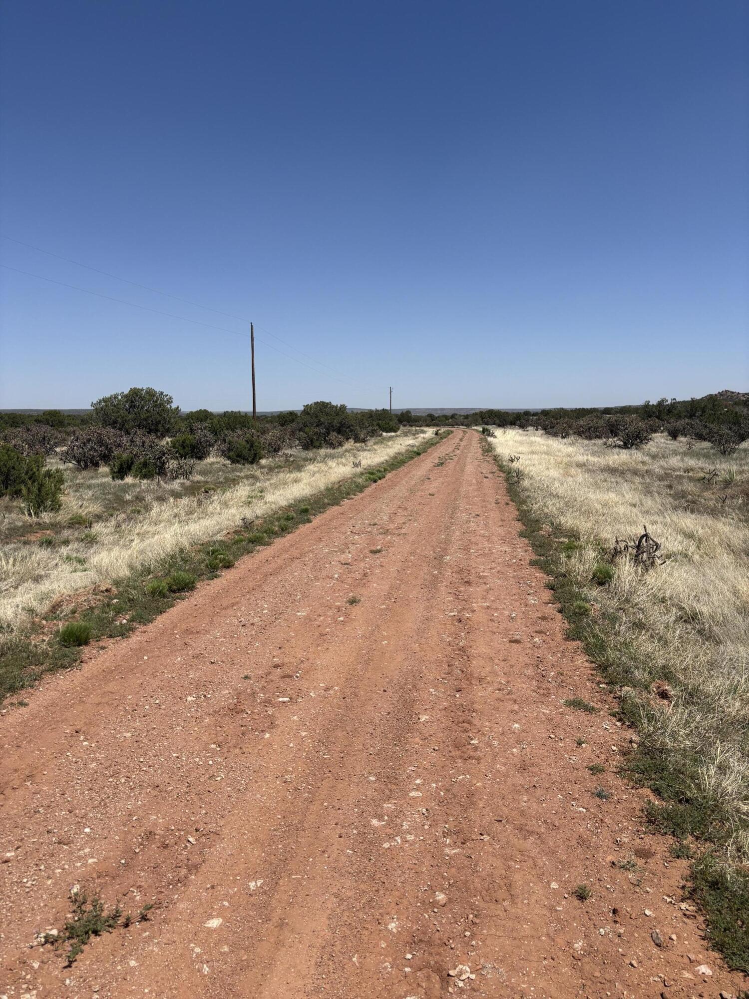 47 Lost Saddle Loop