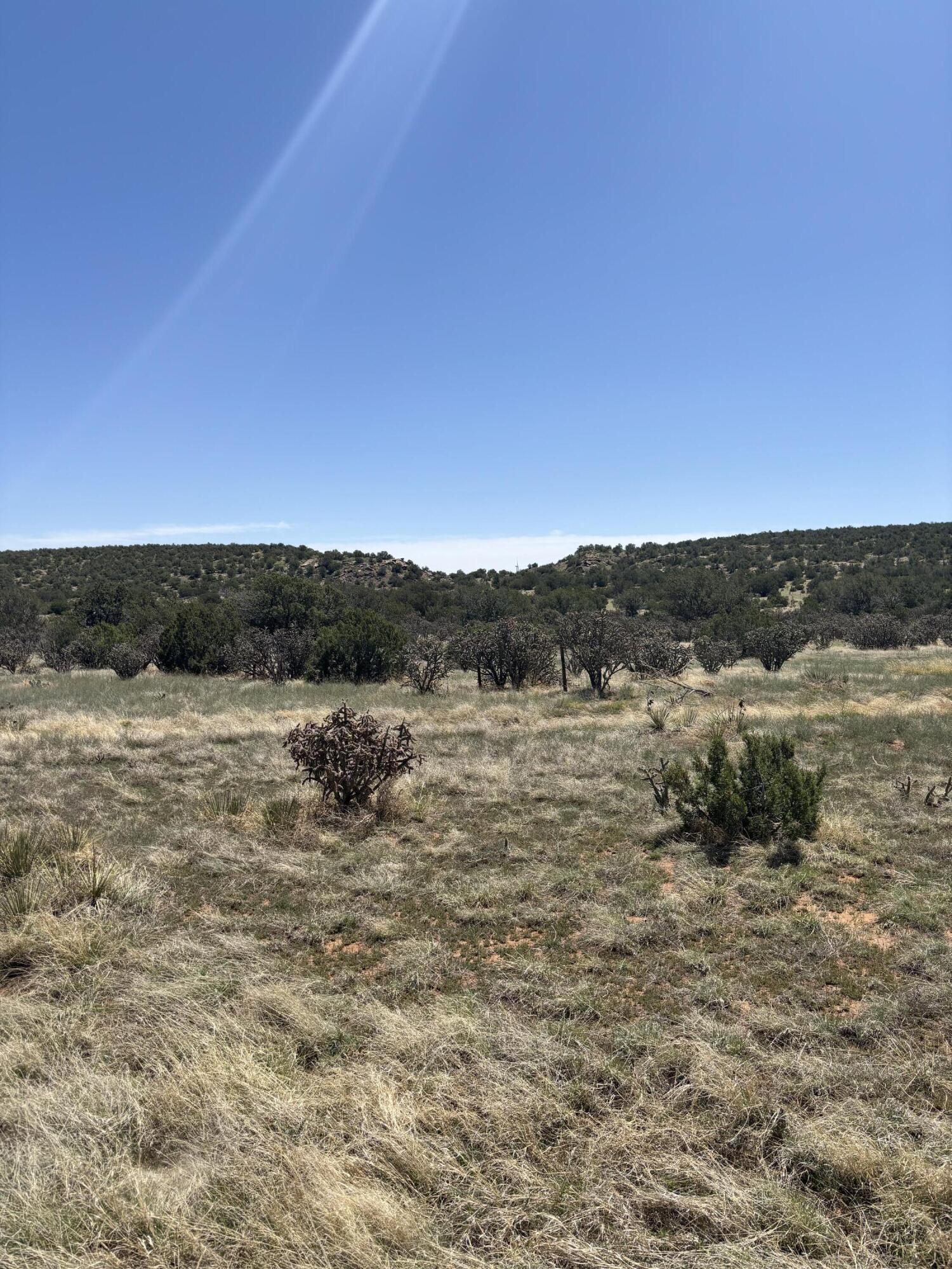 47 Lost Saddle Loop