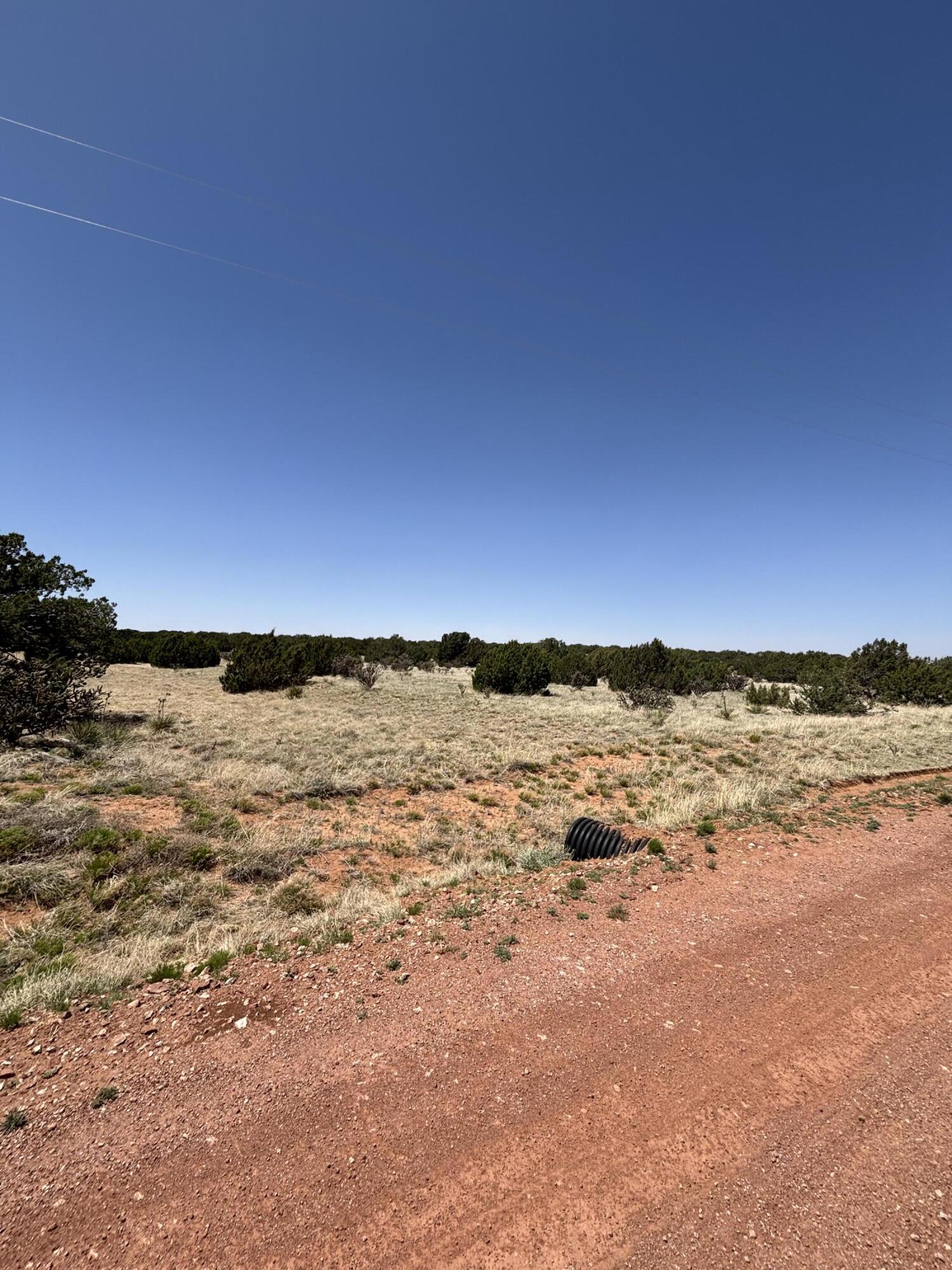 47 Lost Saddle Loop