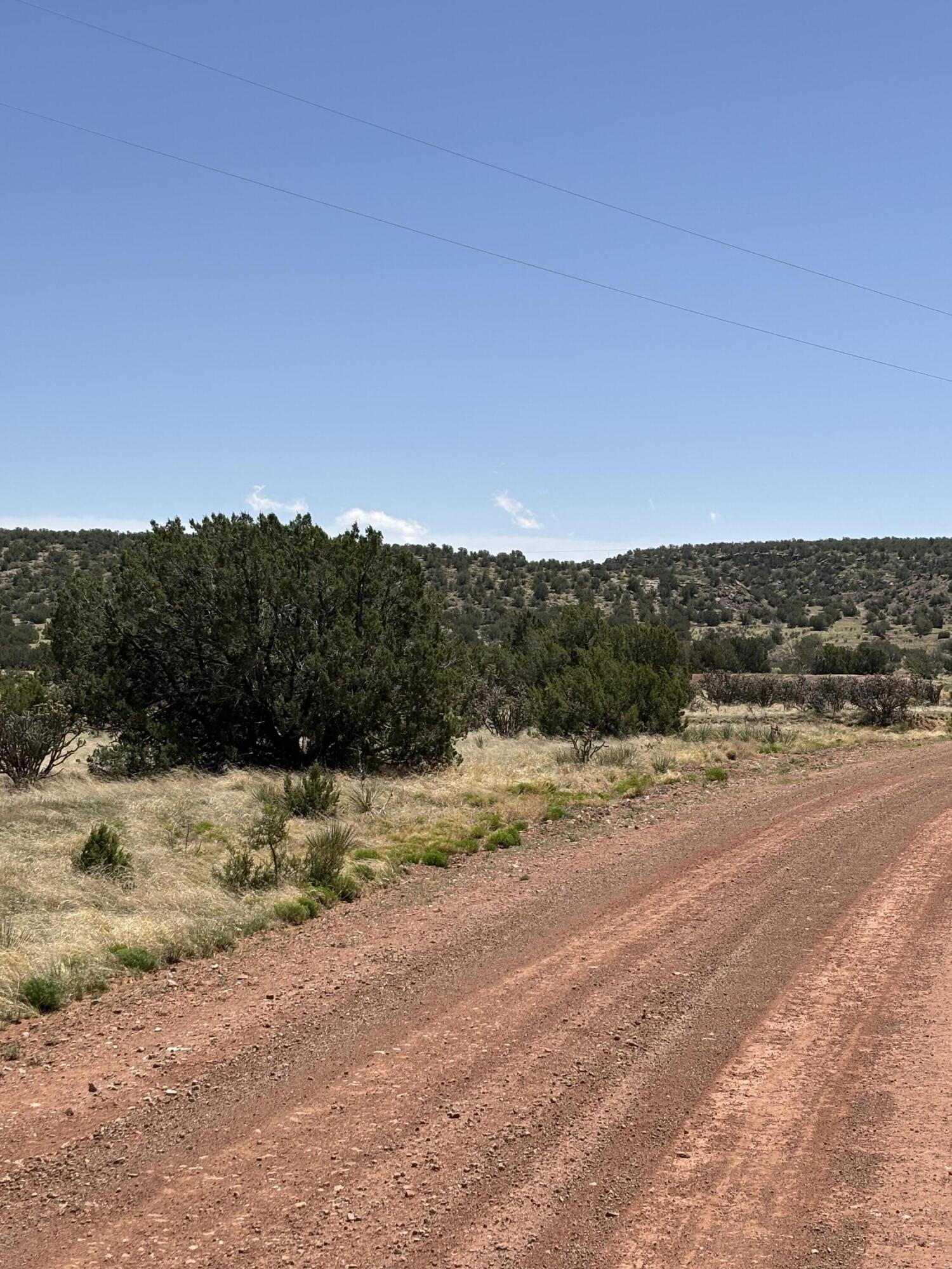 47 Lost Saddle Loop
