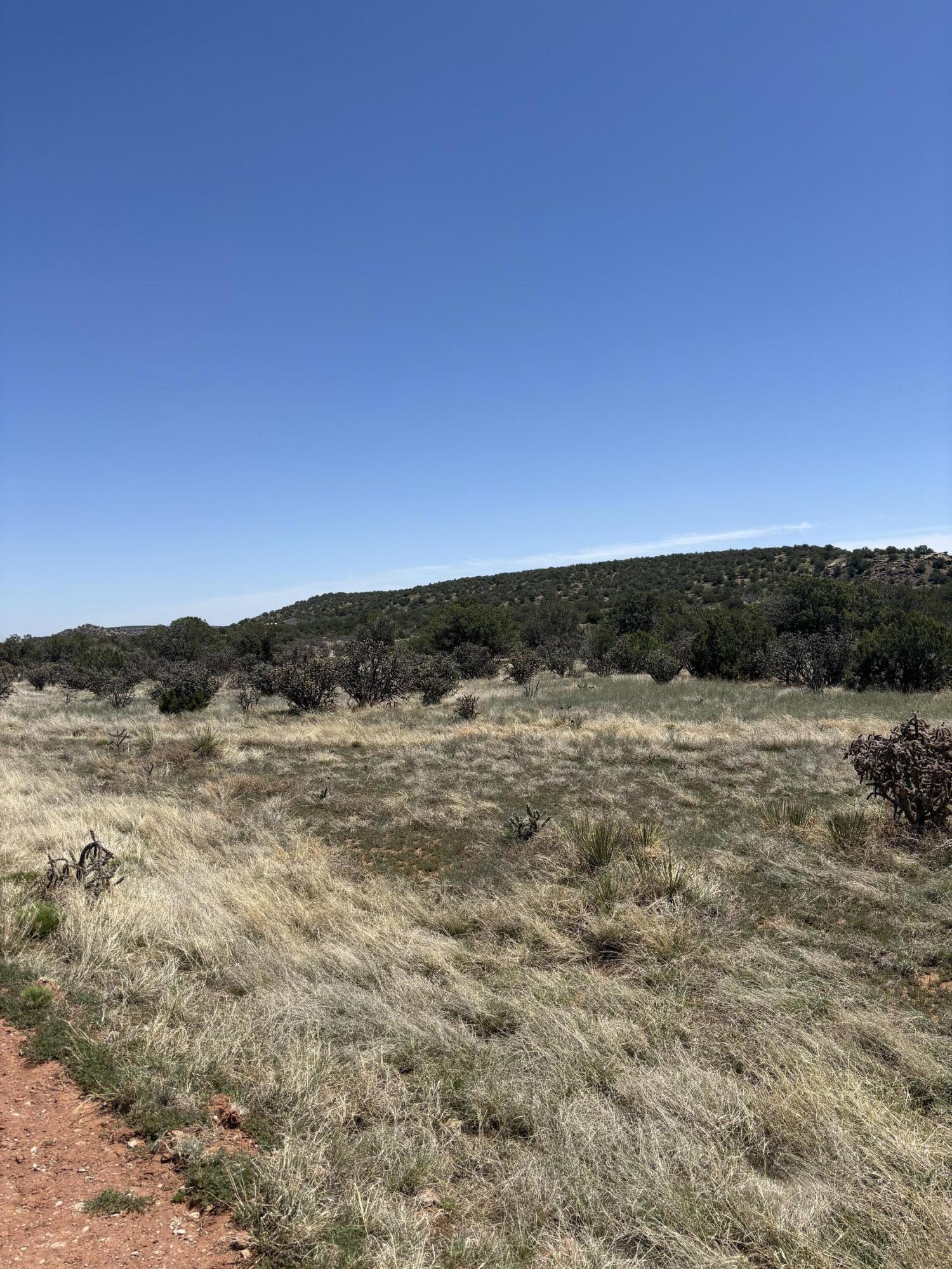 47 Lost Saddle Loop