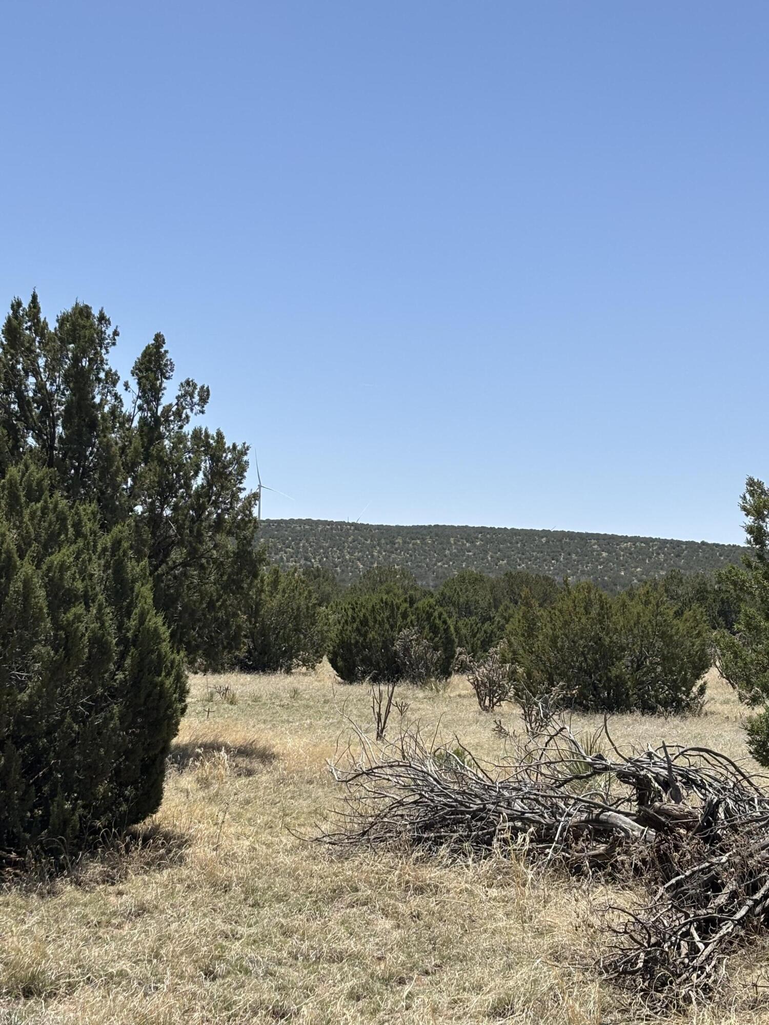 47 Lost Saddle Loop