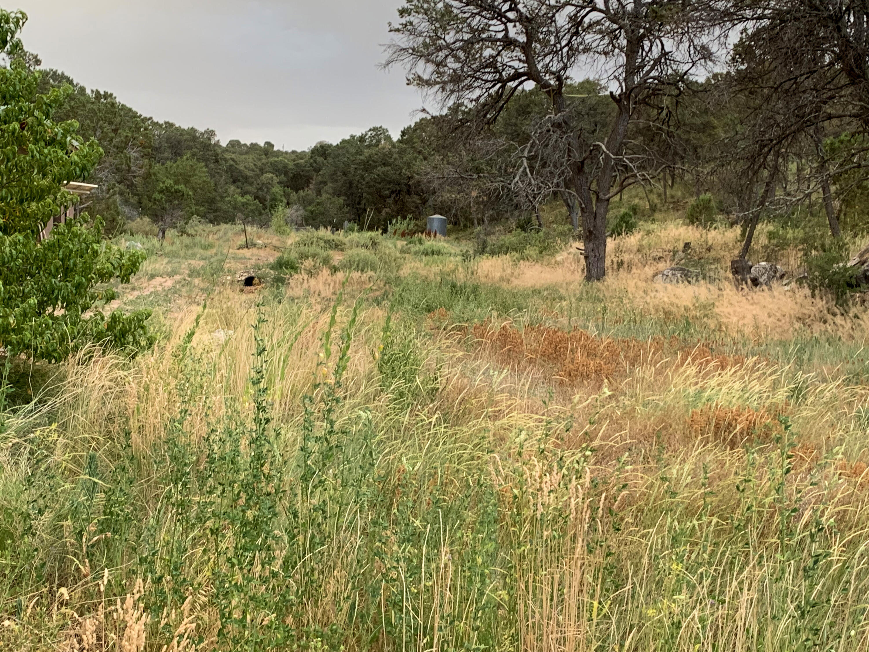 68 CANYON Road