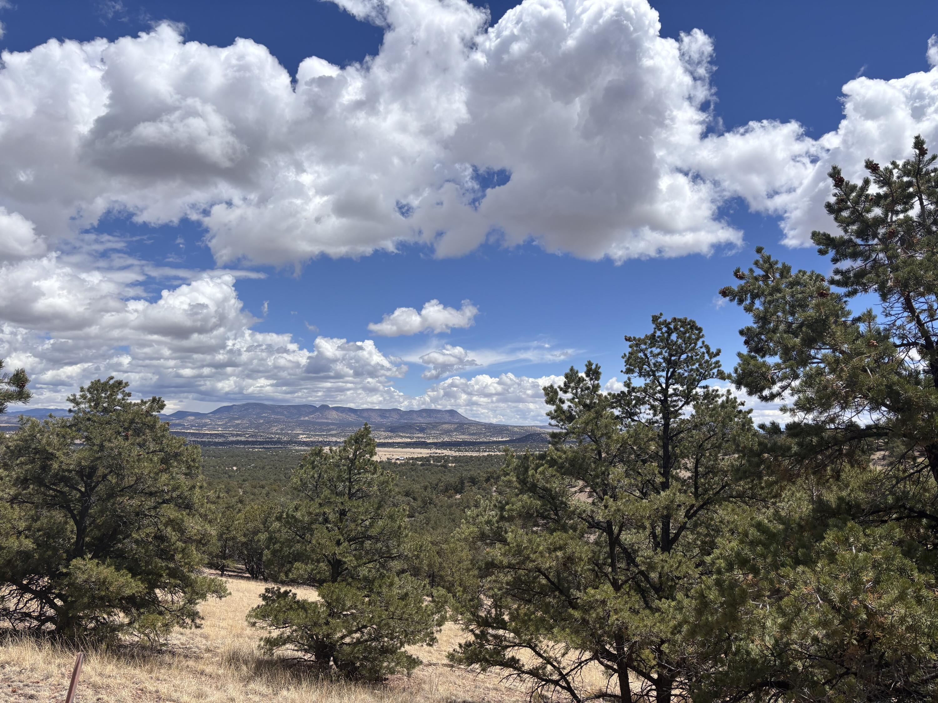 43 Carson Drive Last Frontier