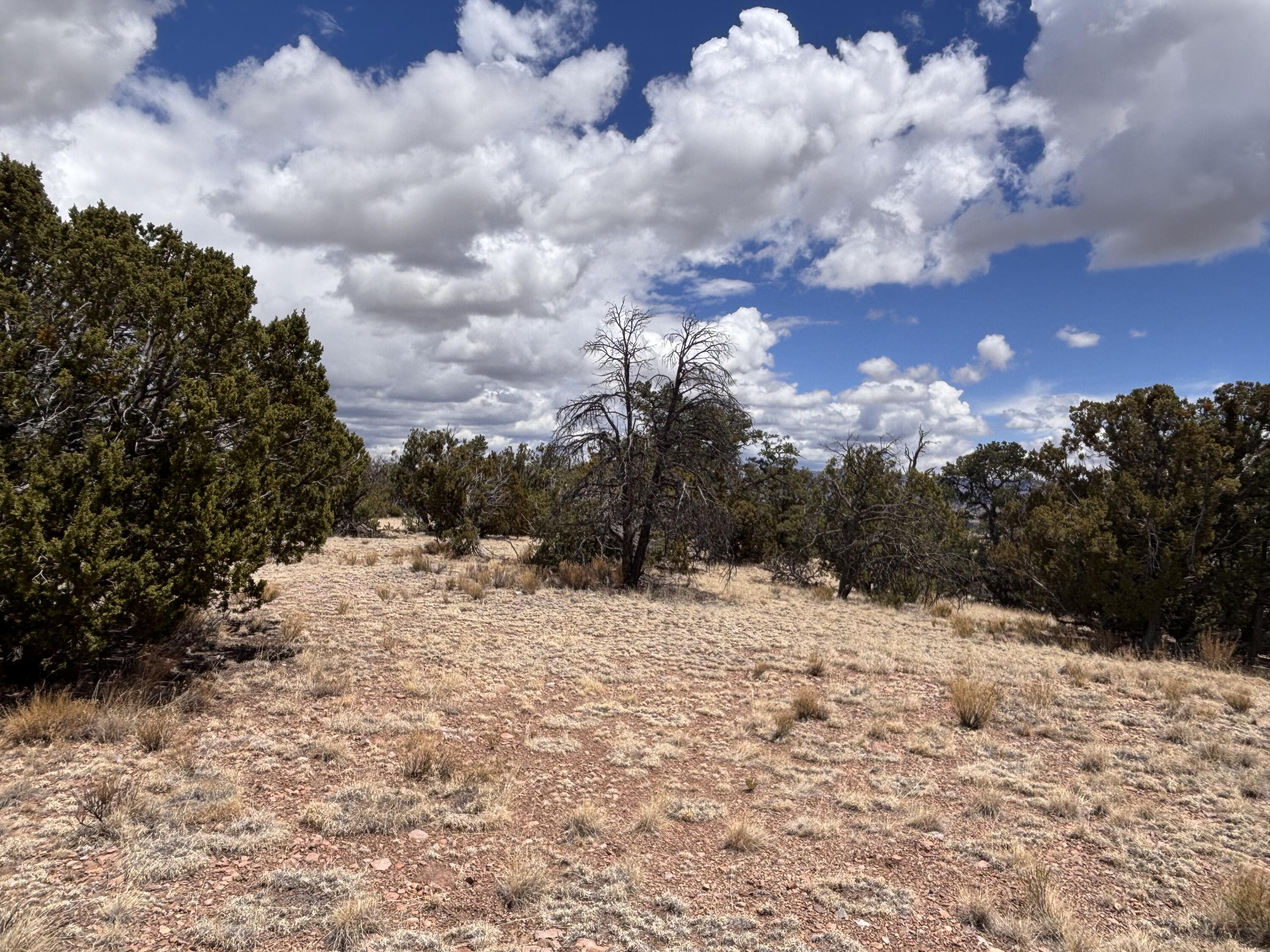 43 Carson Drive Last Frontier