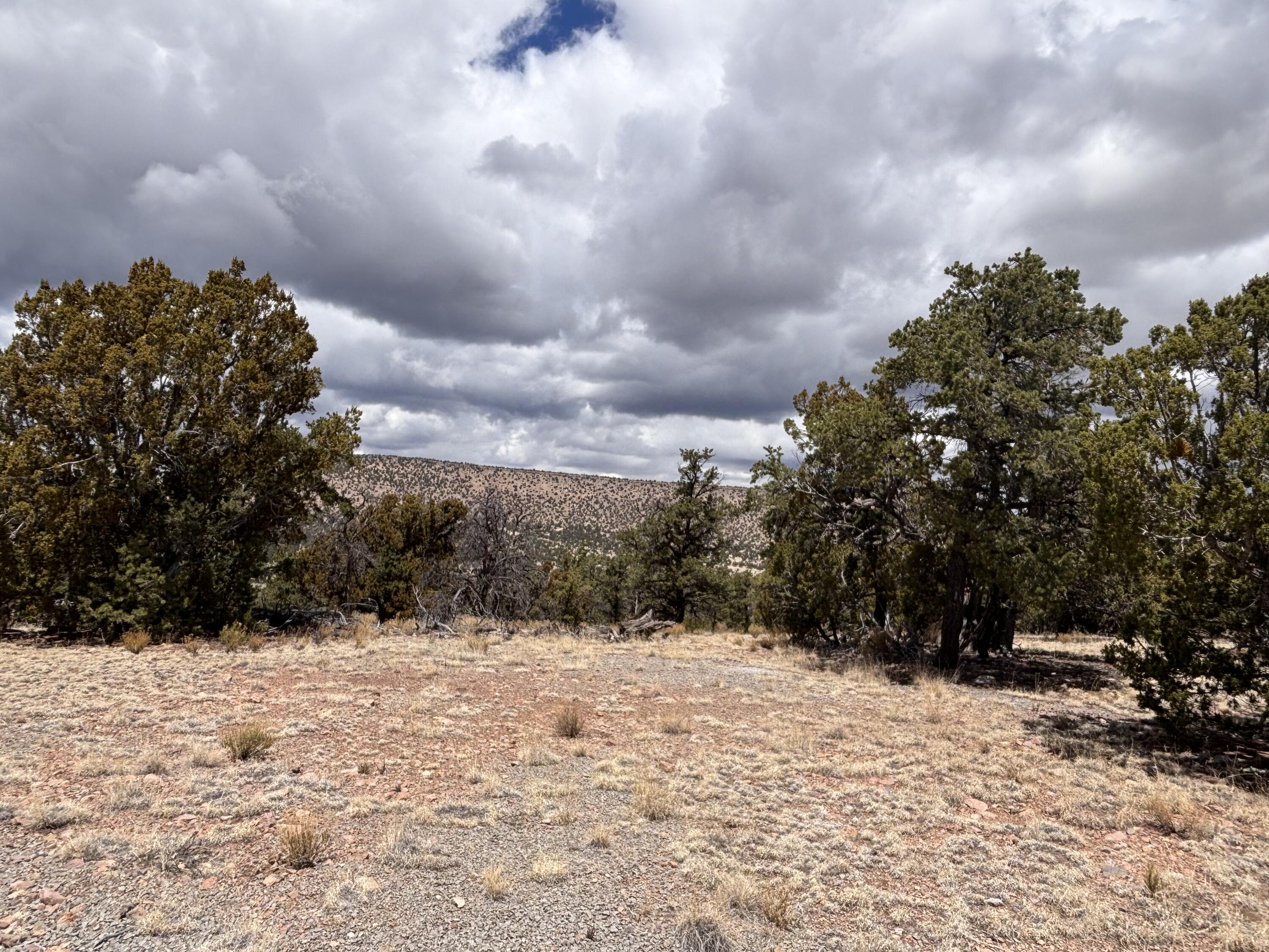 43 Carson Drive Last Frontier