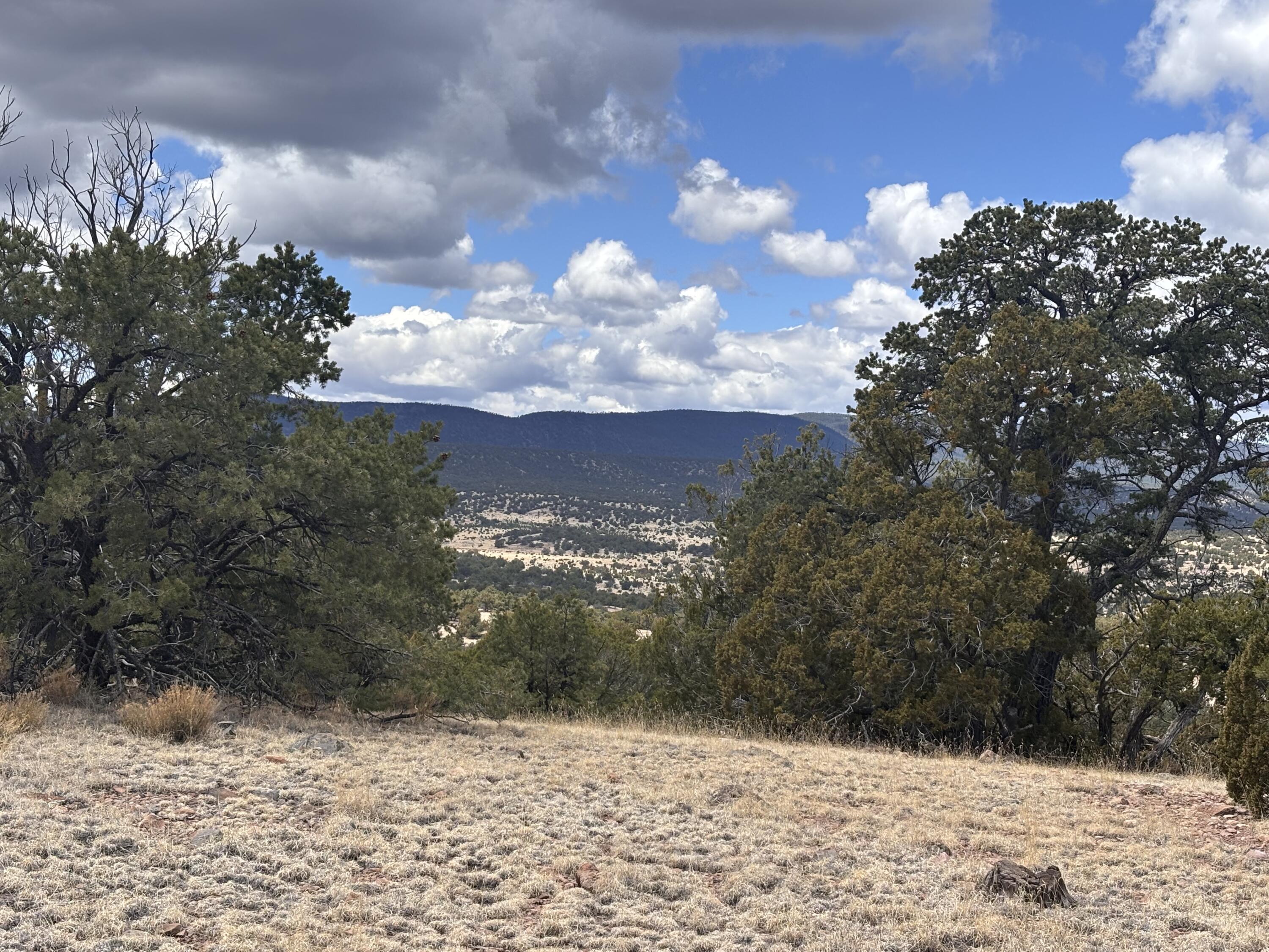 43 Carson Drive Last Frontier