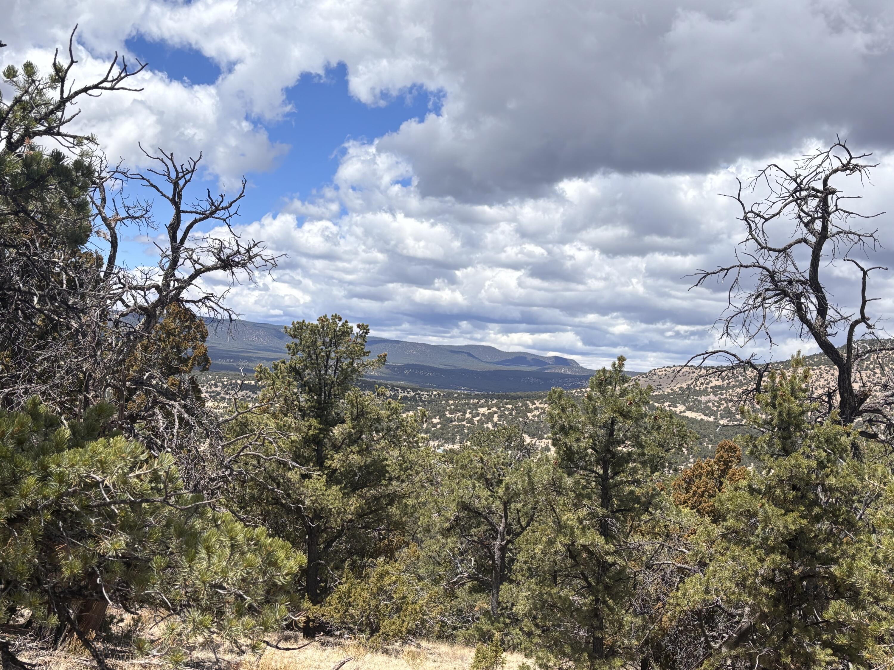 43 Carson Drive Last Frontier