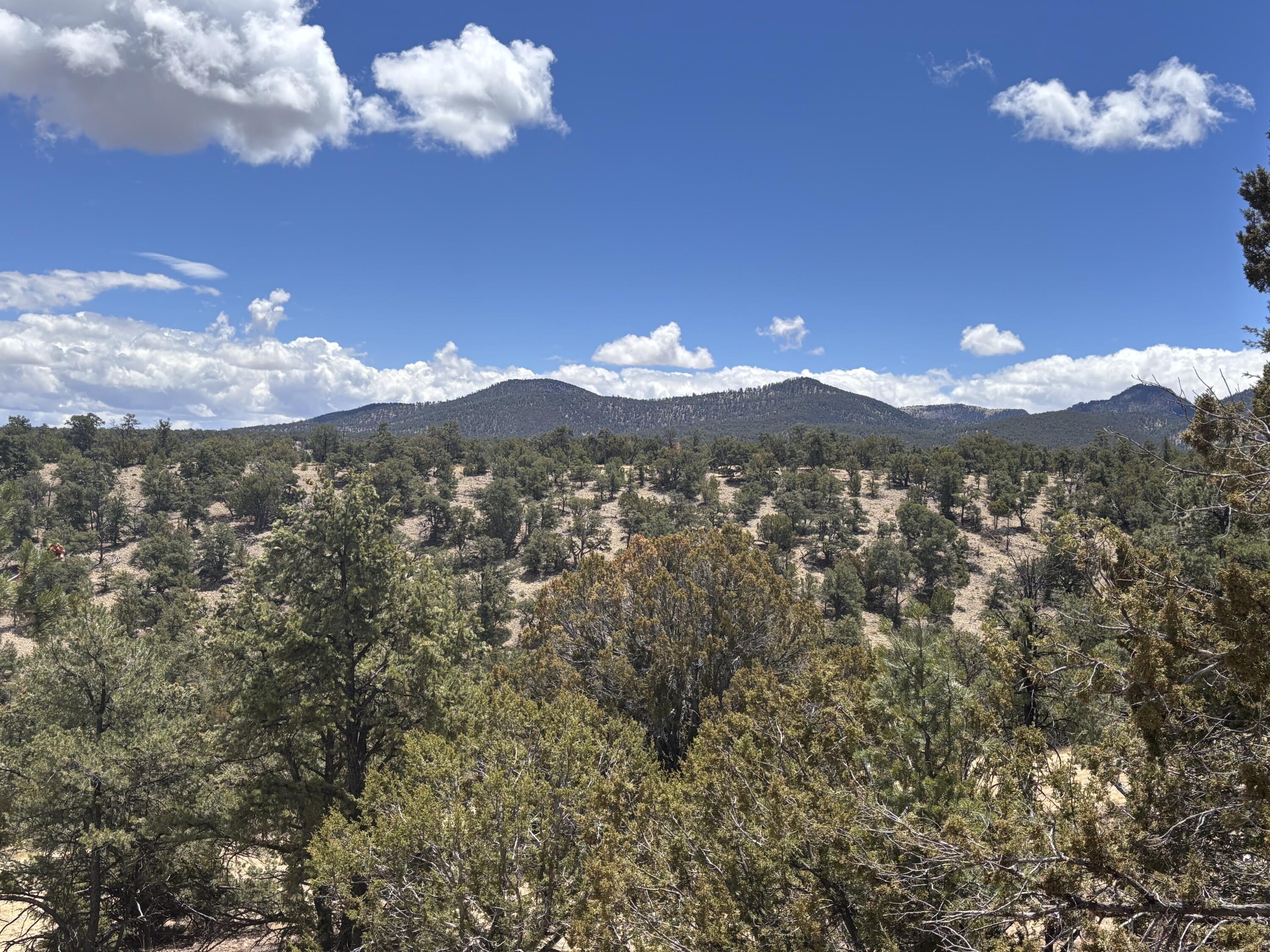 43 Carson Drive Last Frontier