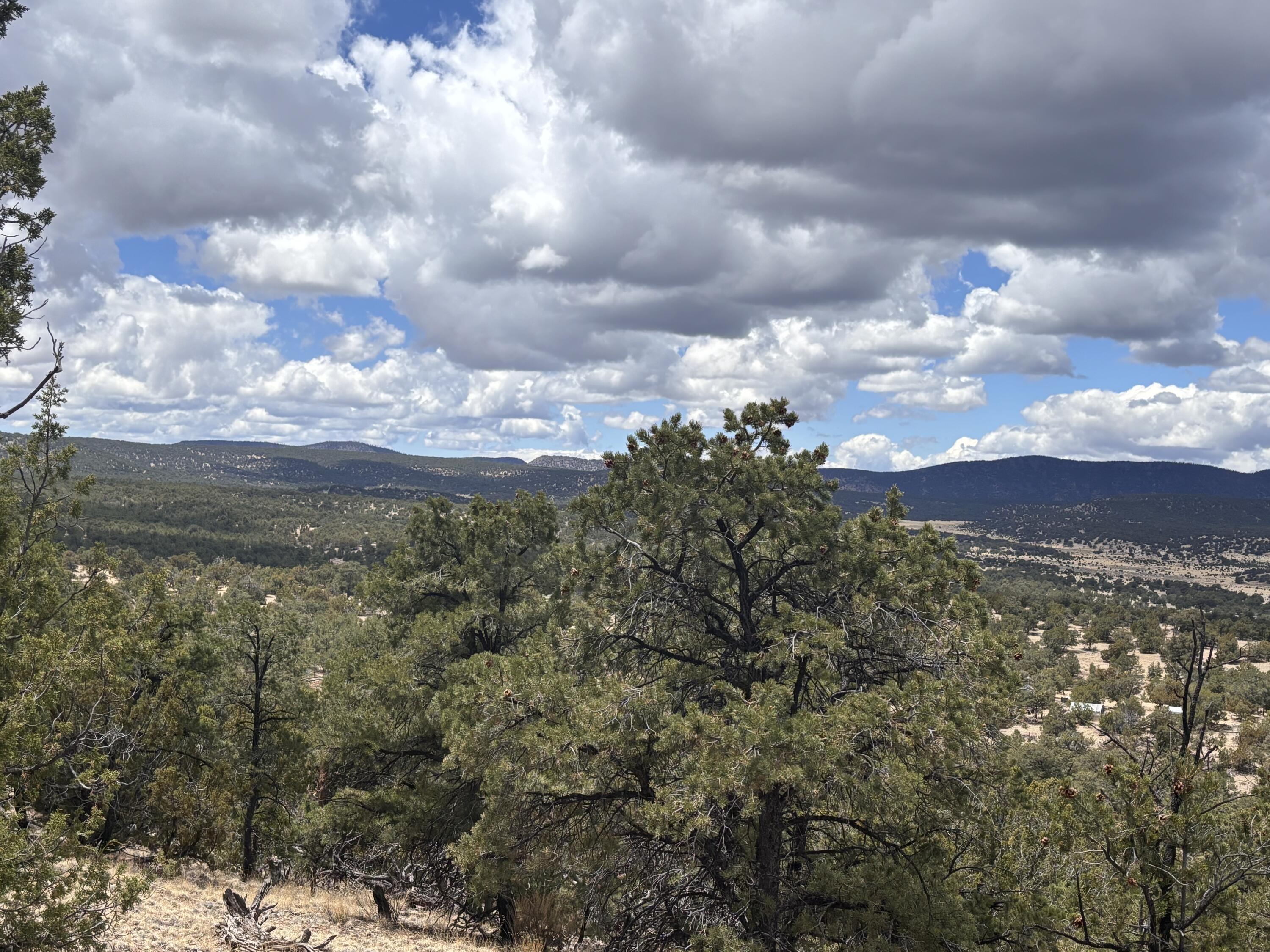 43 Carson Drive Last Frontier