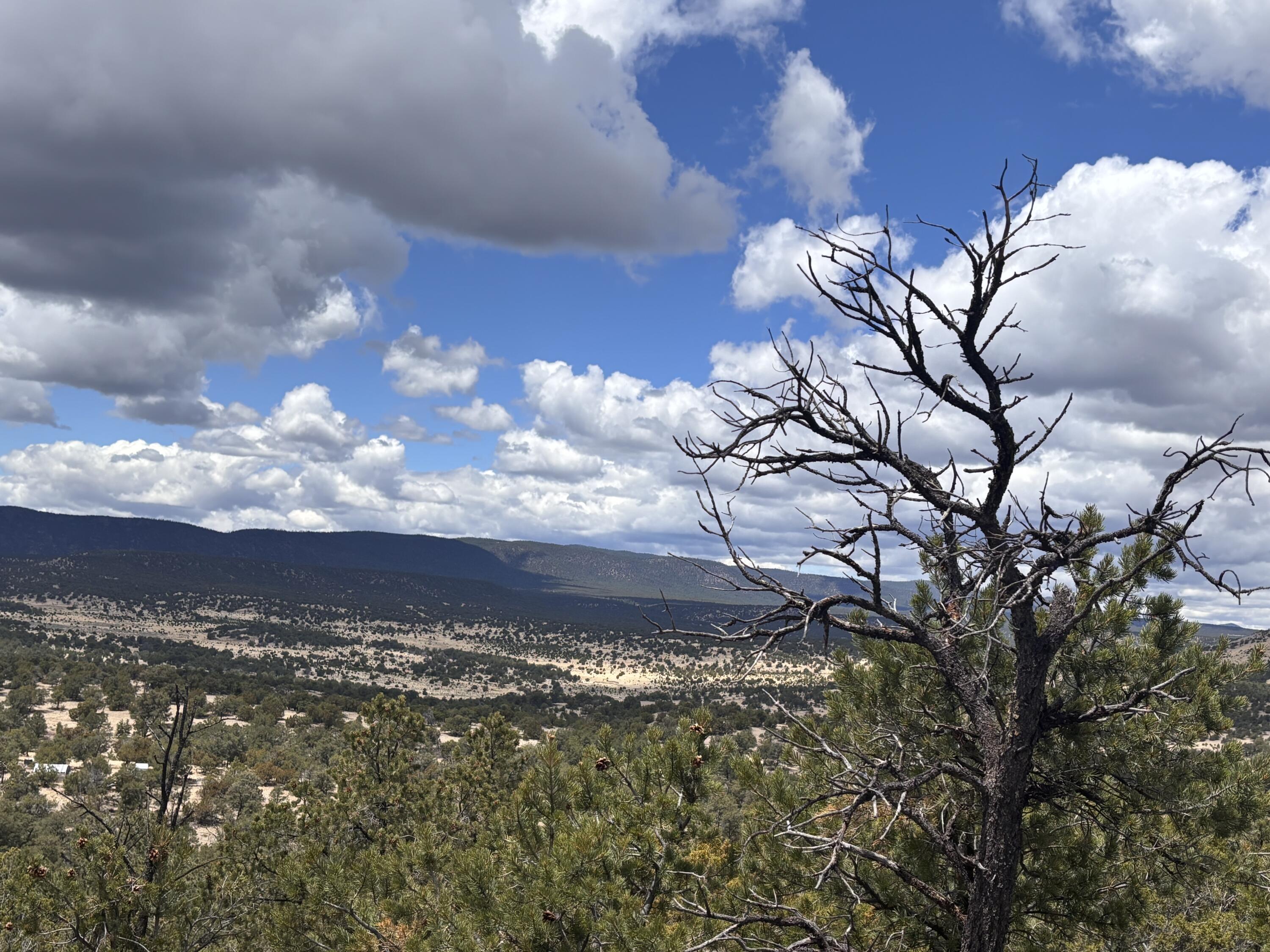 43 Carson Drive Last Frontier