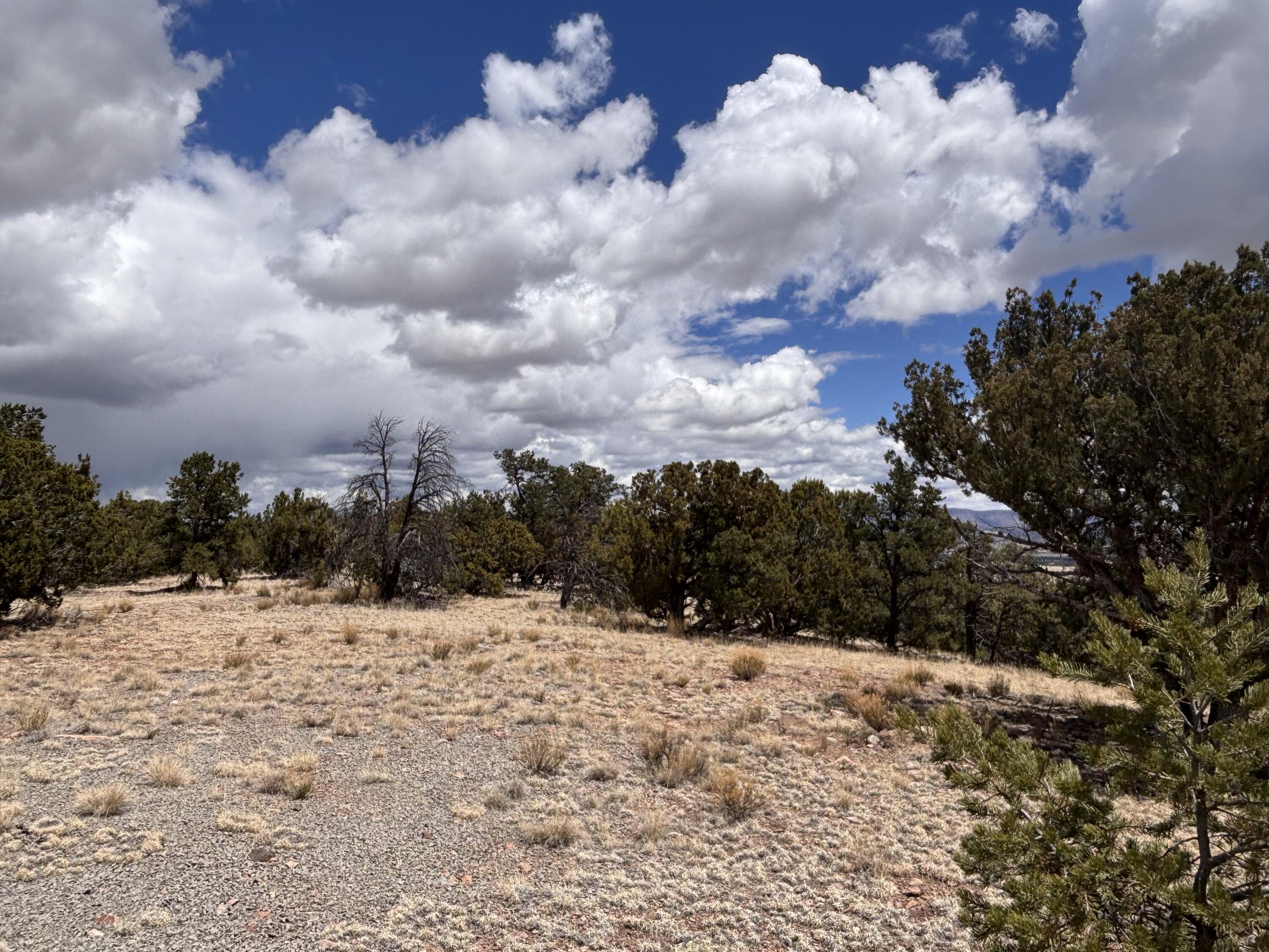 43 Carson Drive Last Frontier