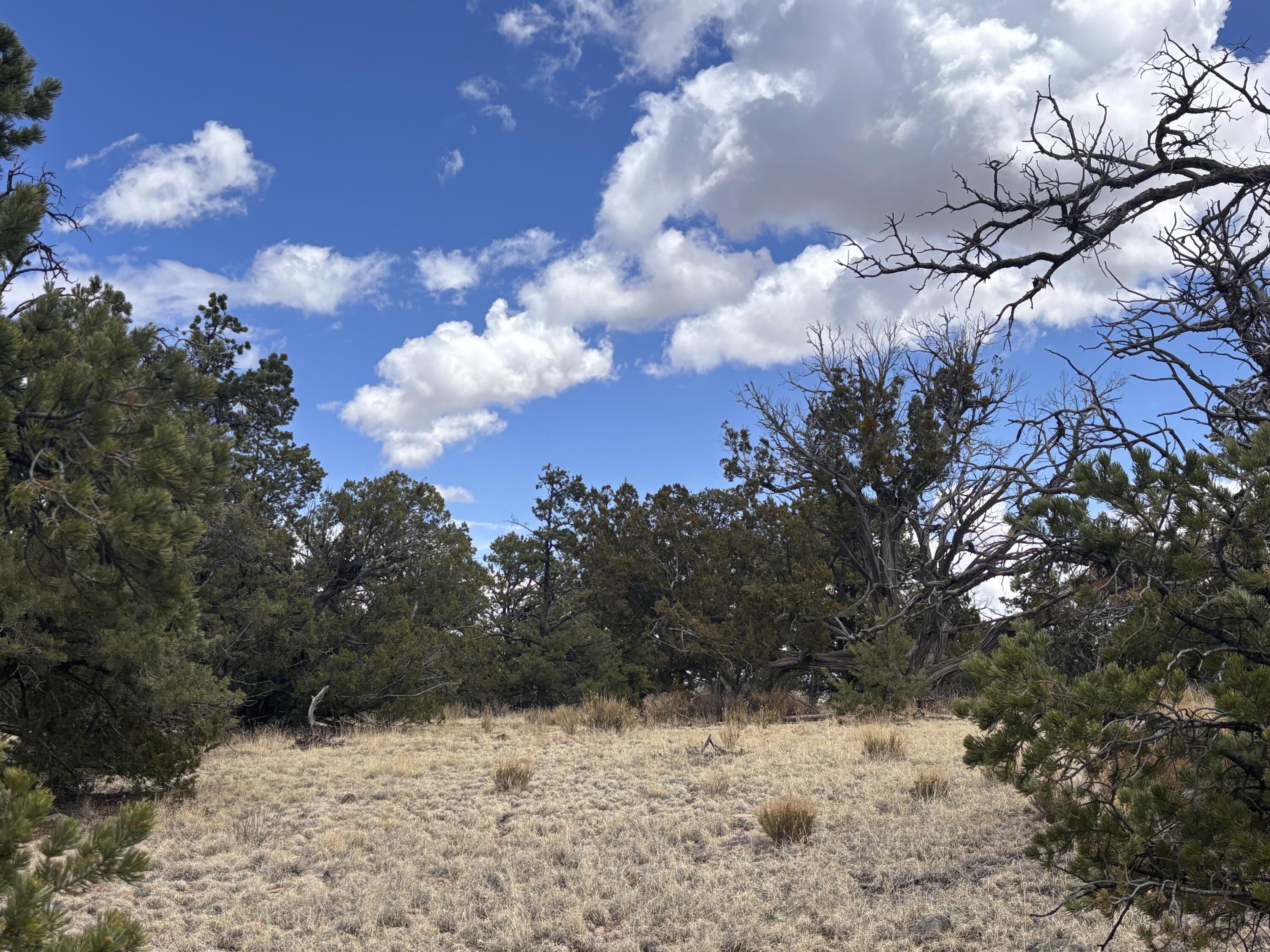 43 Carson Drive Last Frontier