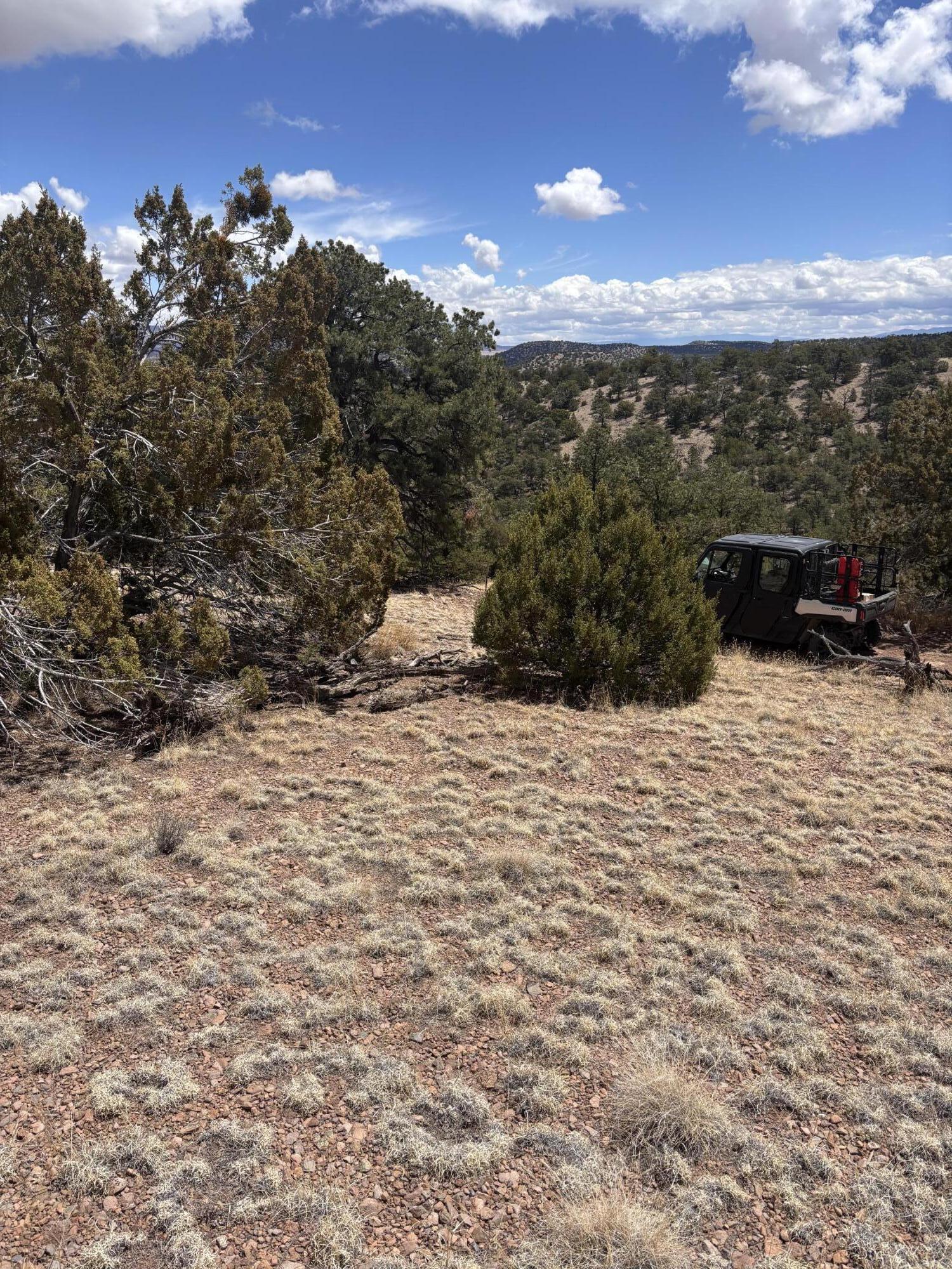 43 Carson Drive Last Frontier