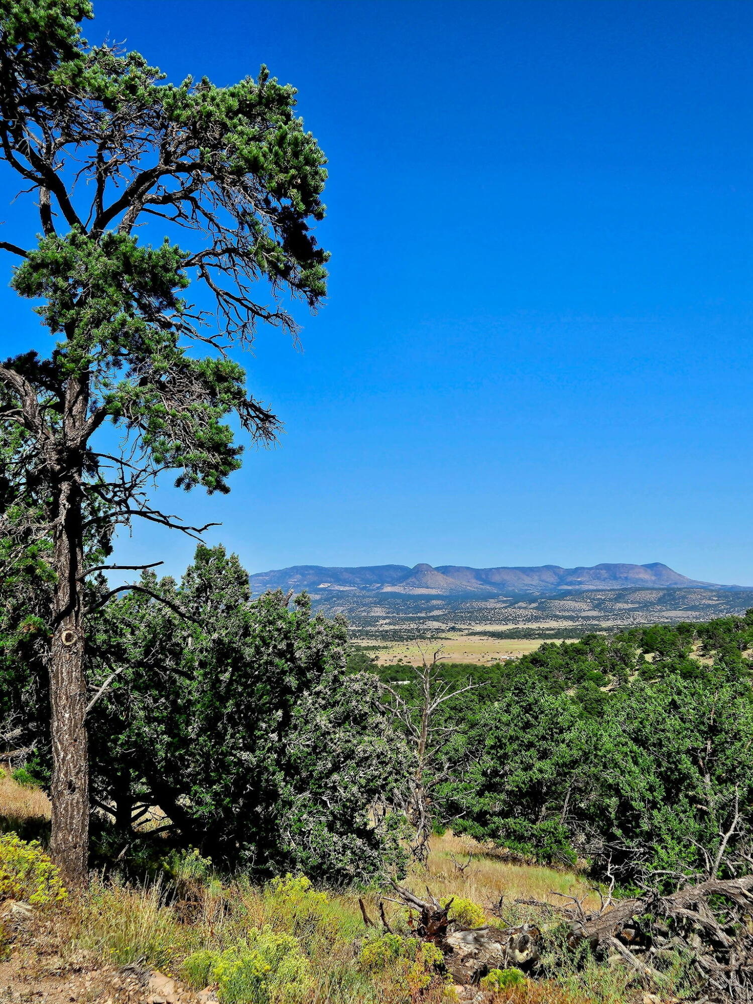 43 Carson Drive Last Frontier