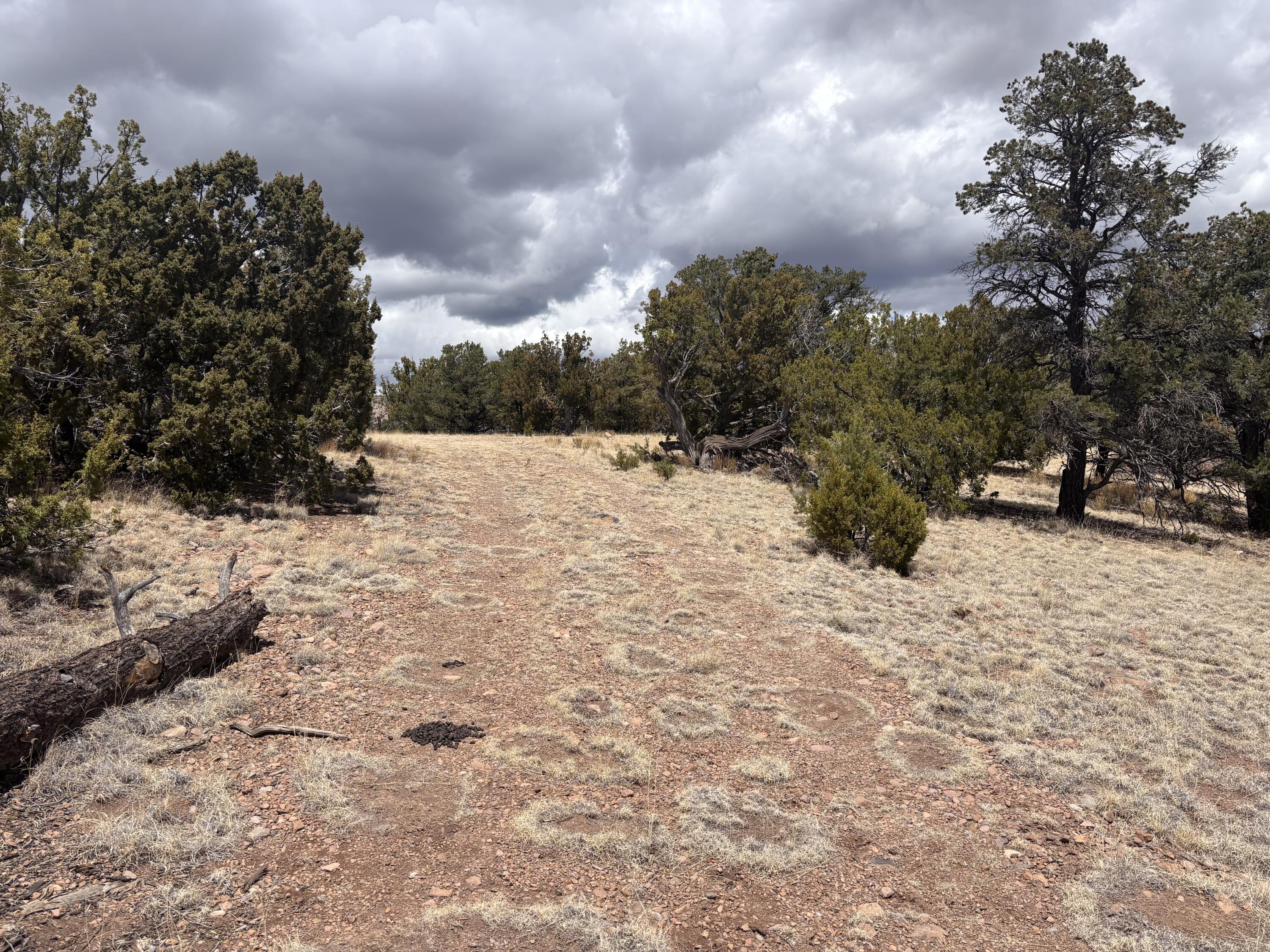 43 Carson Drive Last Frontier