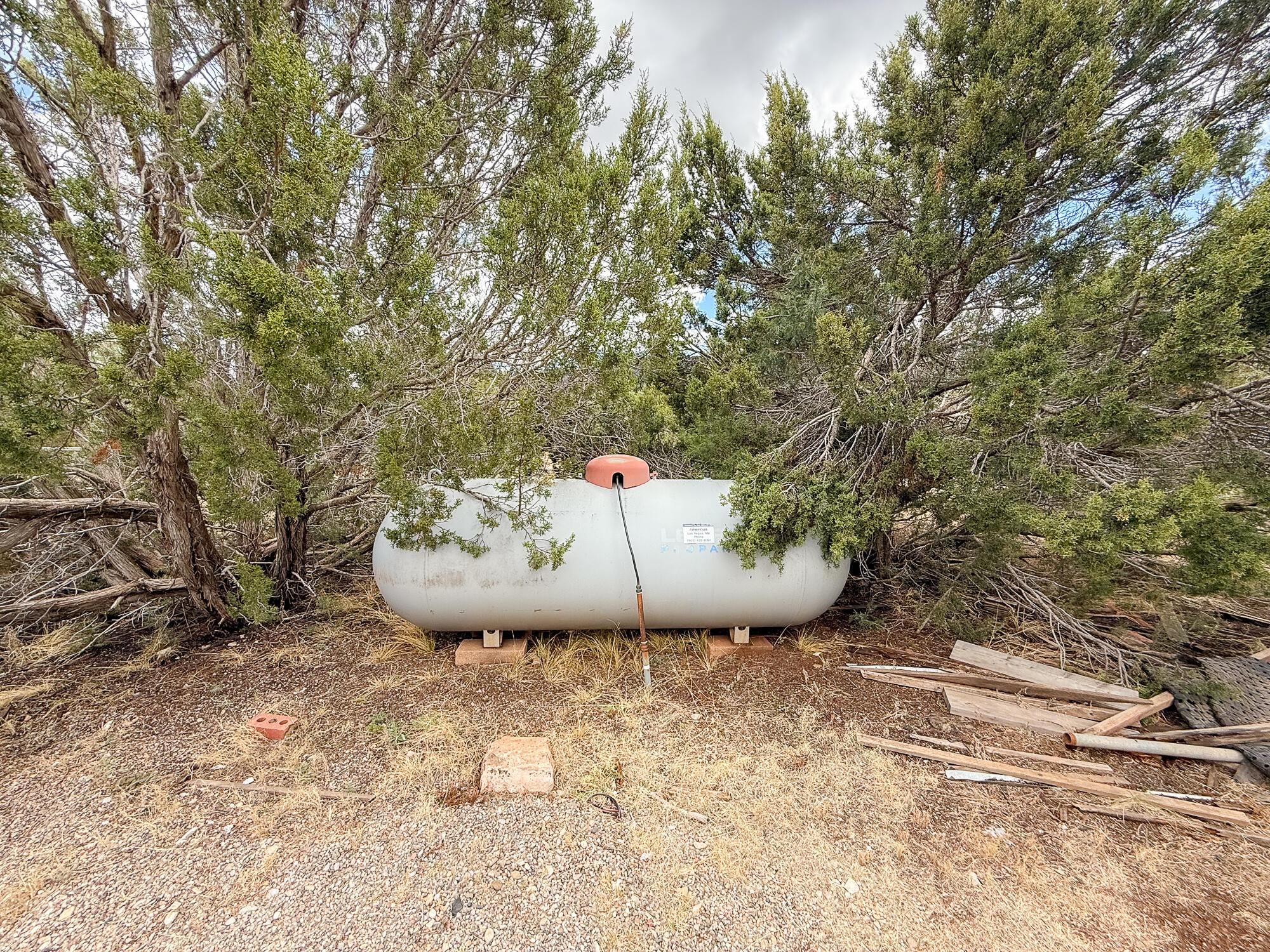 36 Camino Real Loop