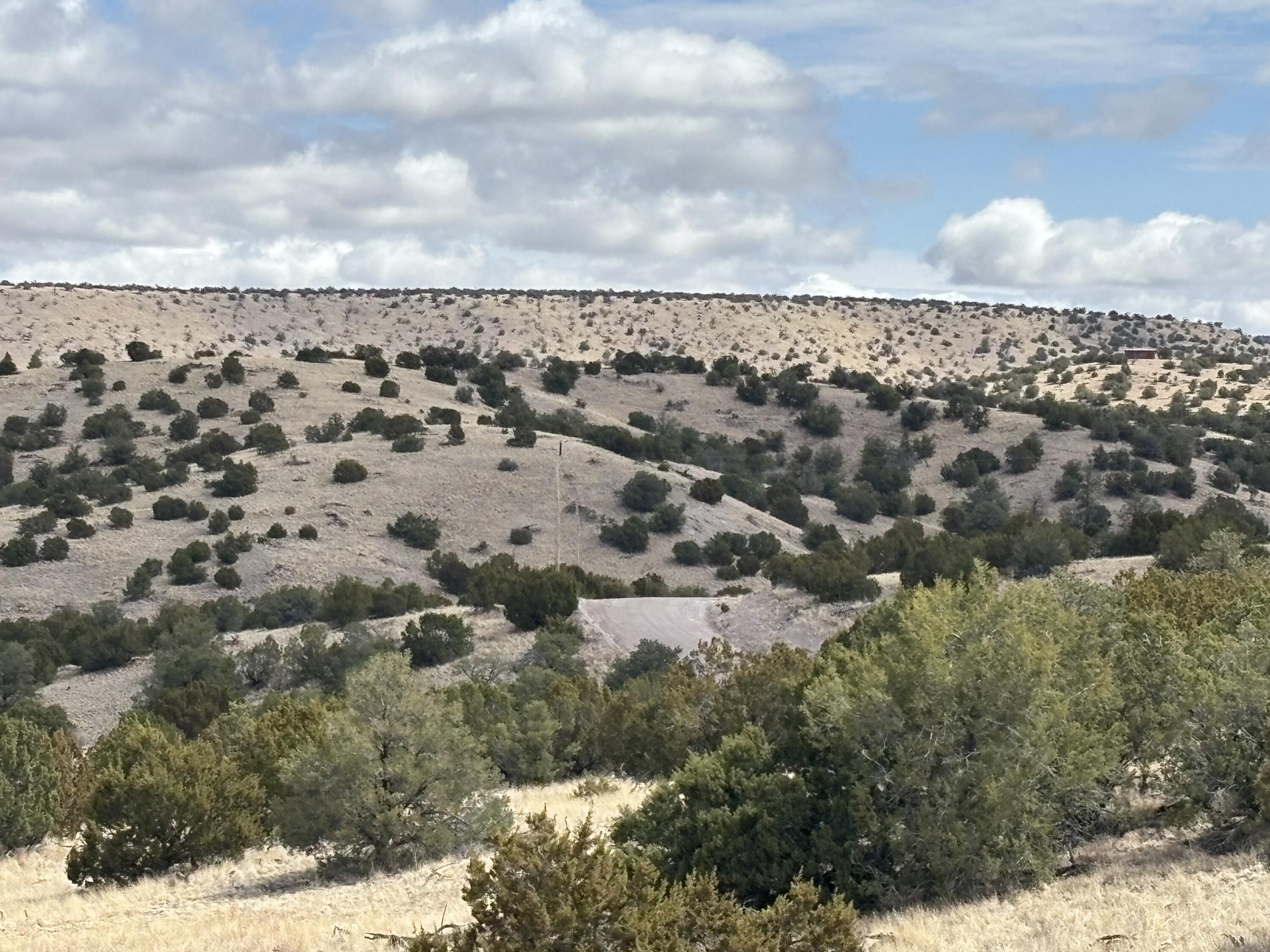 Lot 57 Pinon Springs Ranch