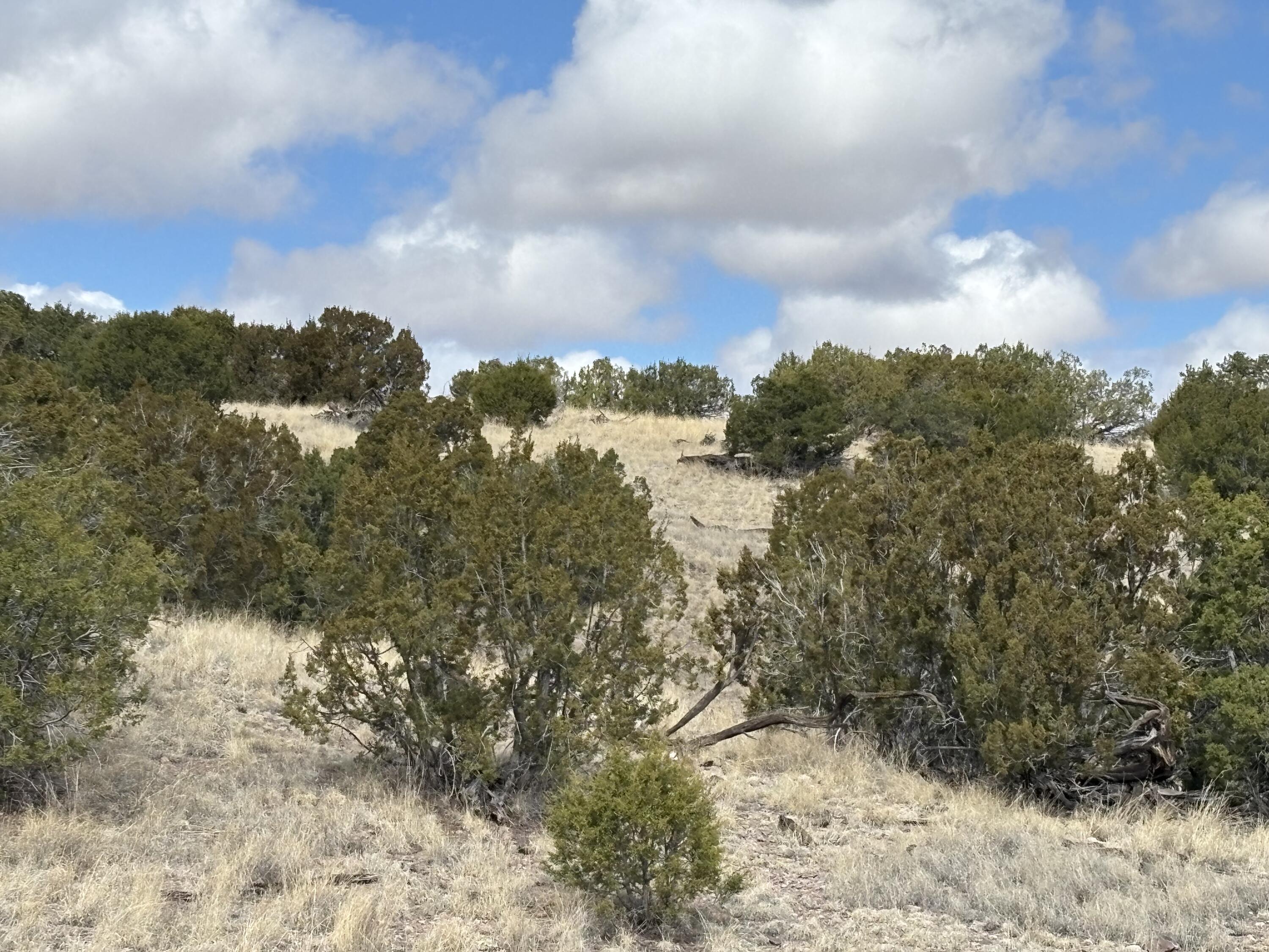 Lot 57 Pinon Springs Ranch
