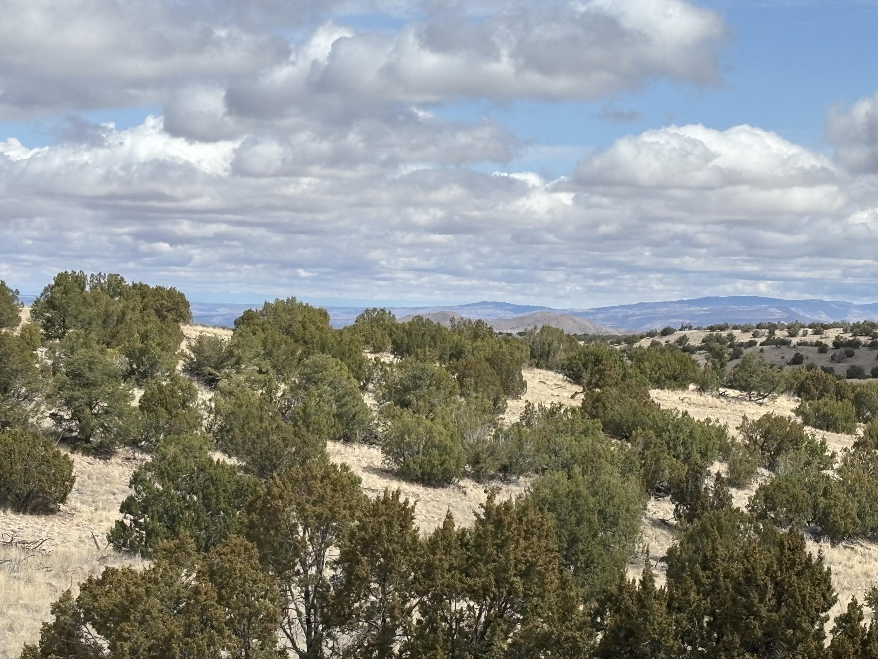 Lot 57 Pinon Springs Ranch