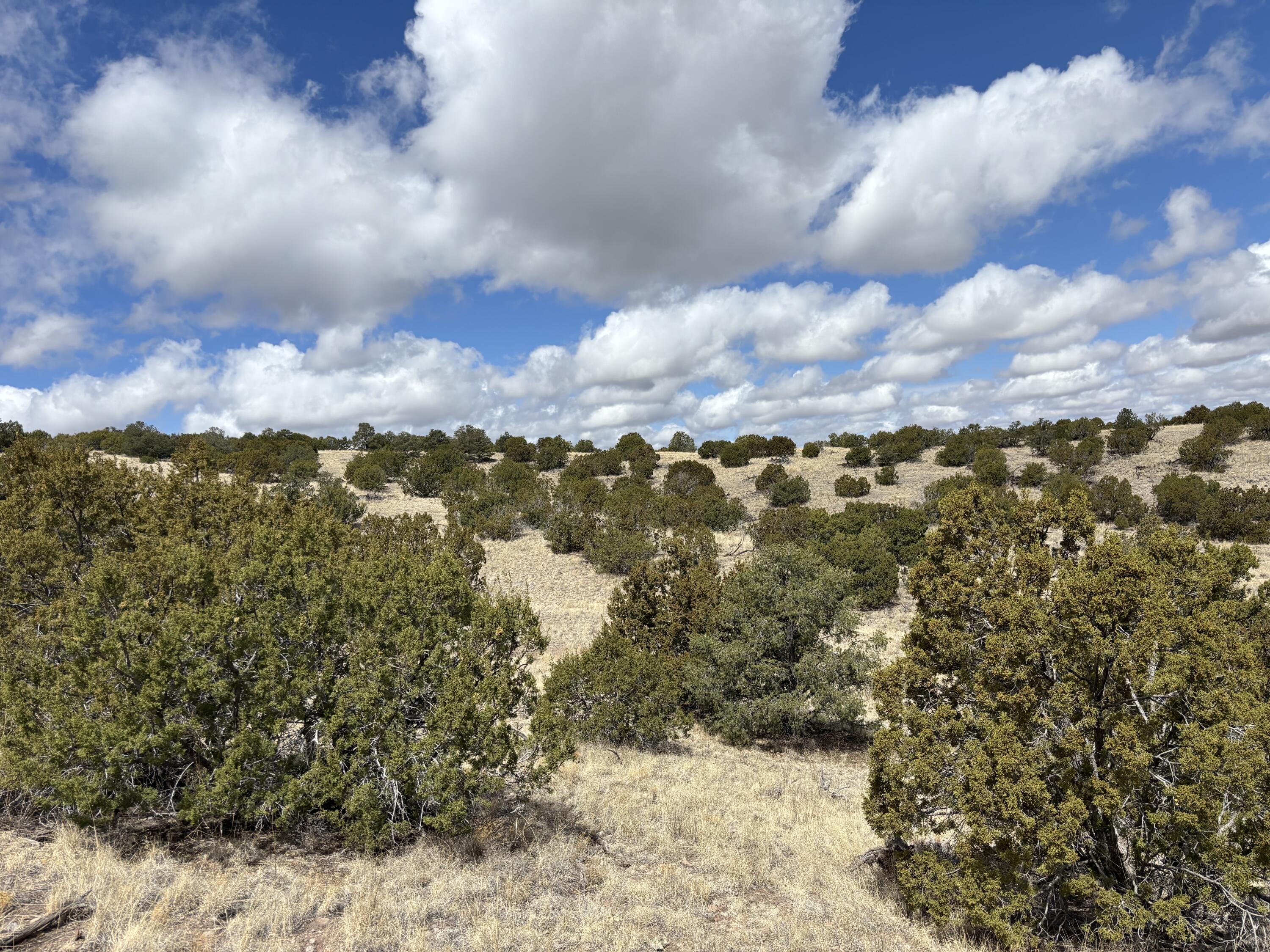 Lot 56 Pinon Springs Ranch