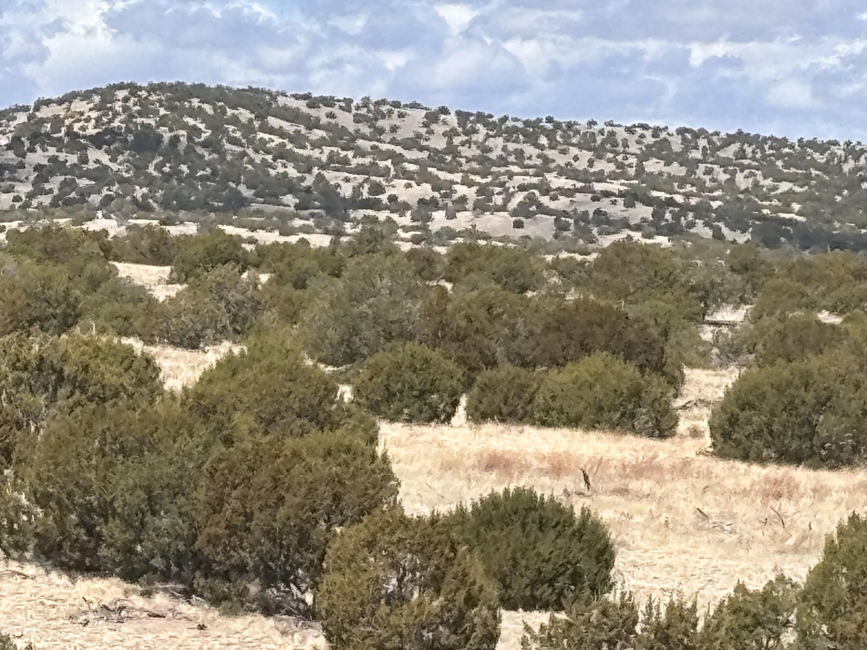 Lot 56 Pinon Springs Ranch