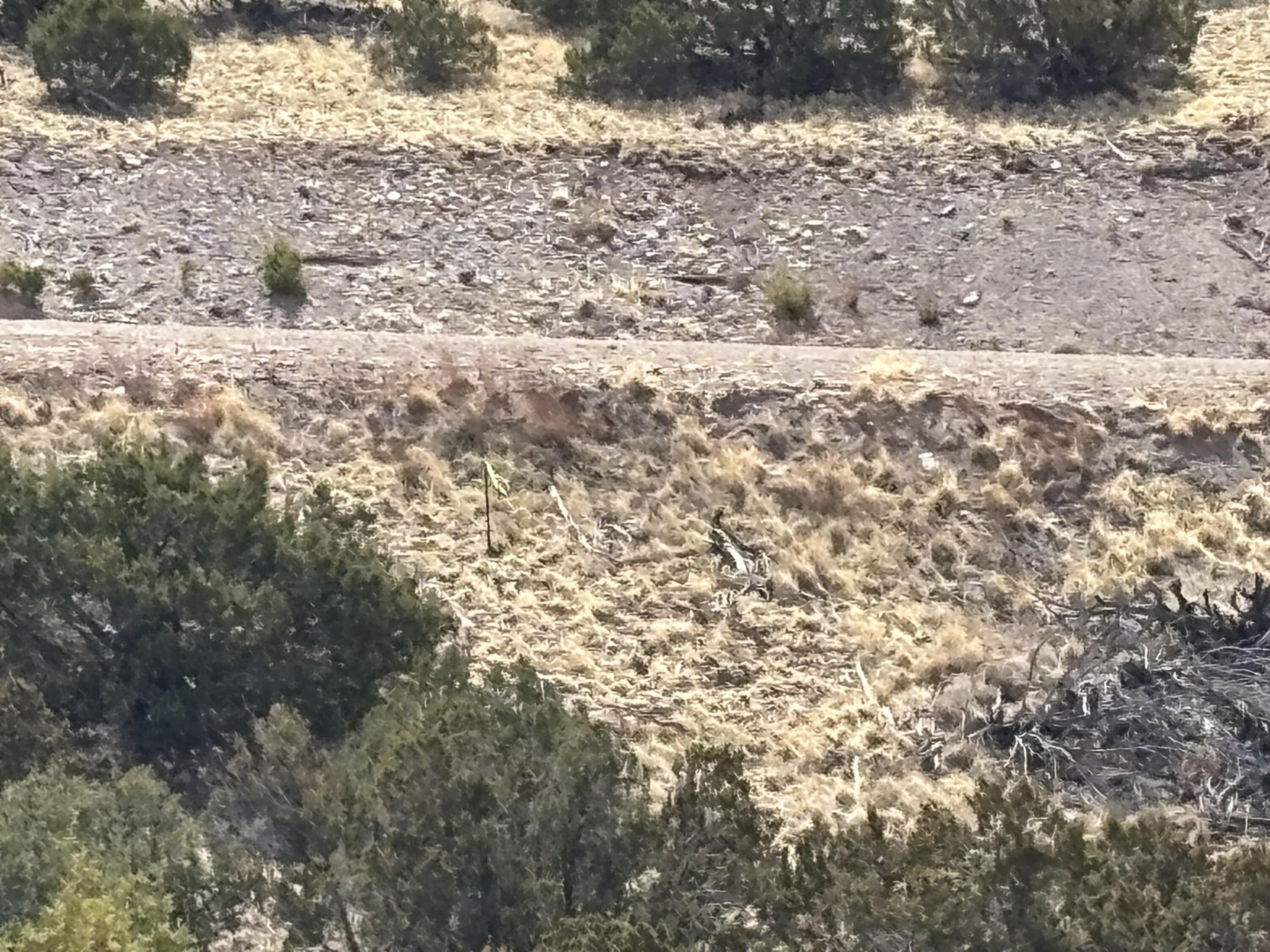 Lot 56 Pinon Springs Ranch