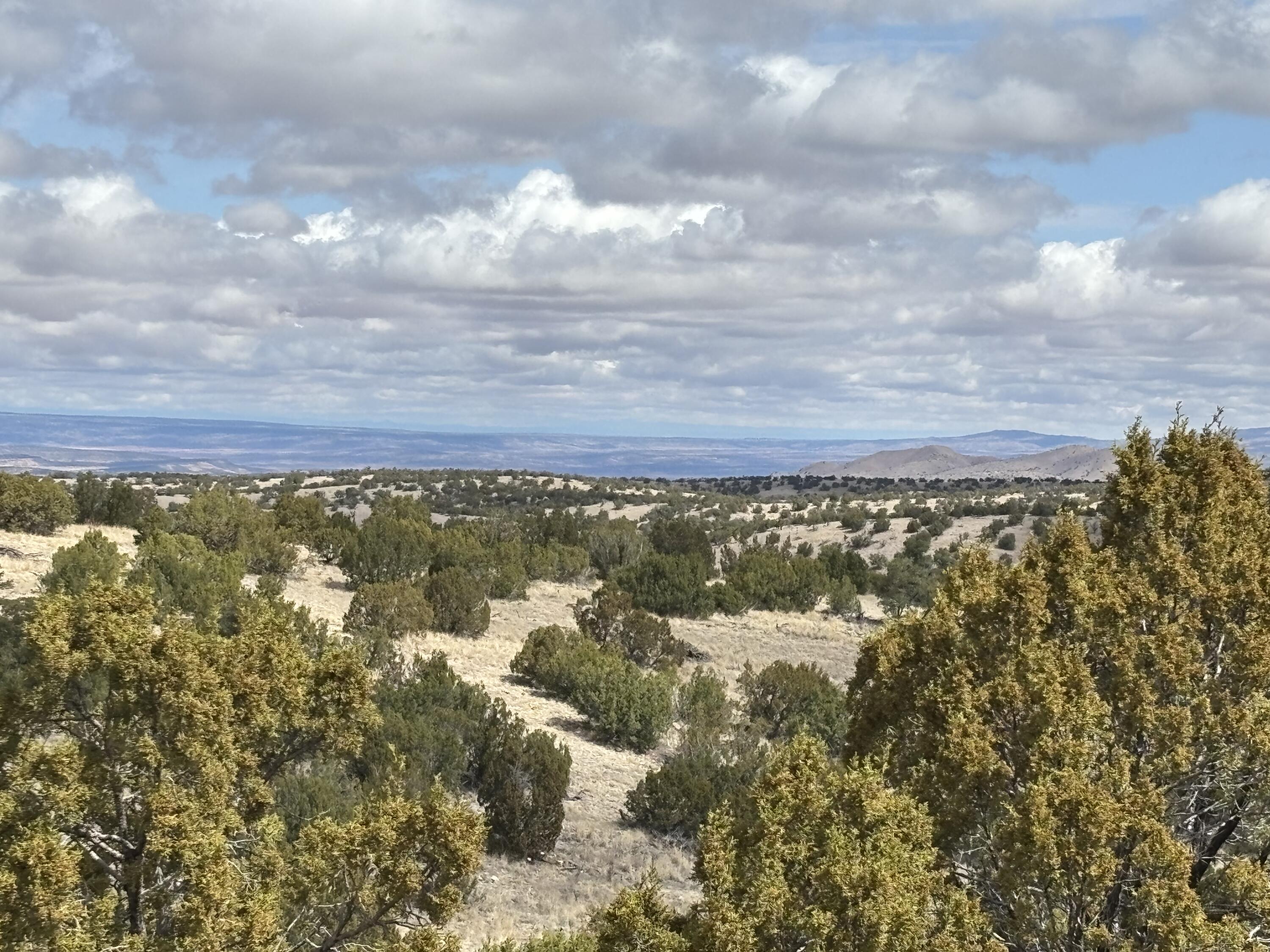 Lot 56 Pinon Springs Ranch