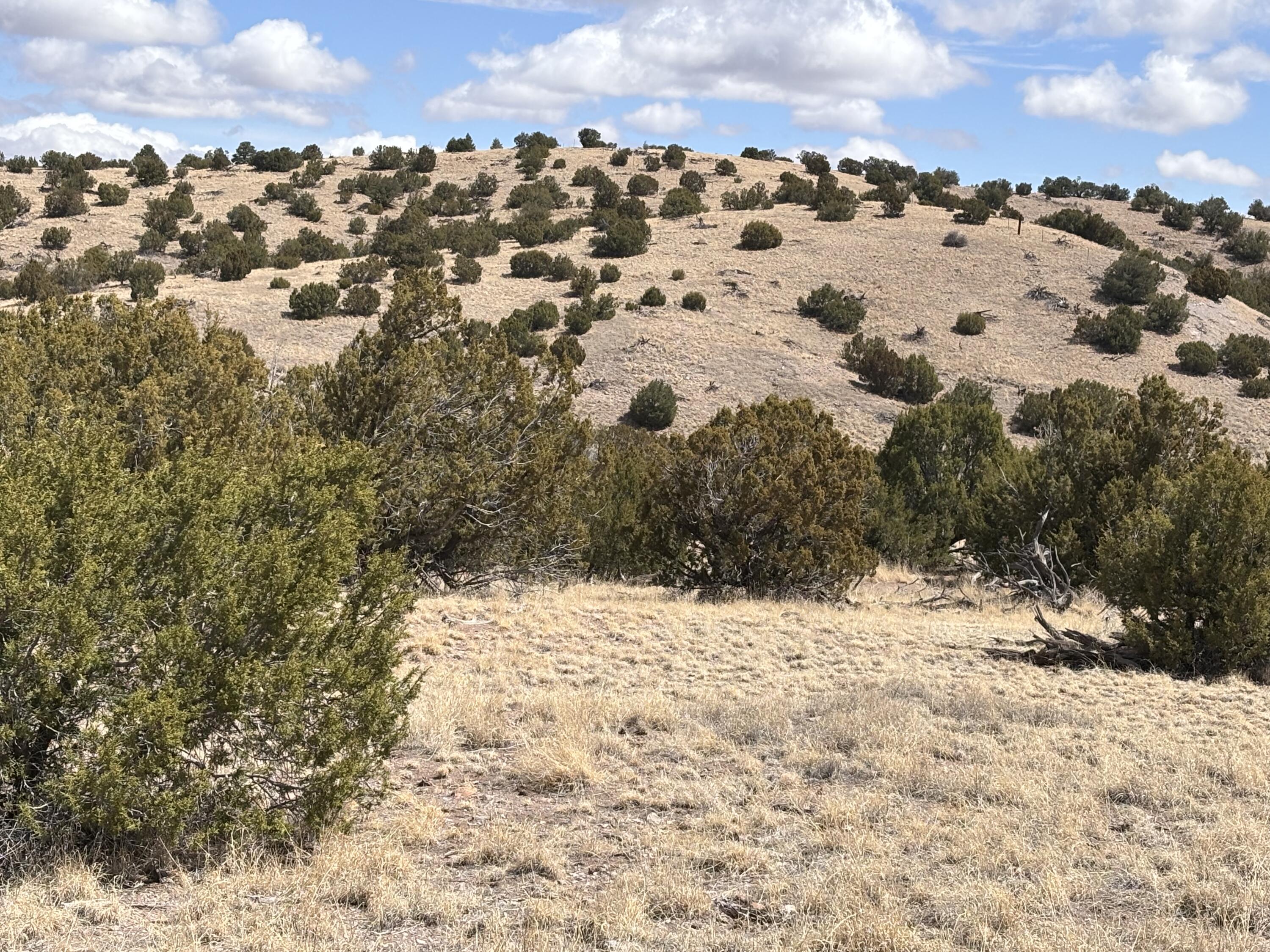 Lot 56 Pinon Springs Ranch