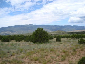 490 Forest Road 462