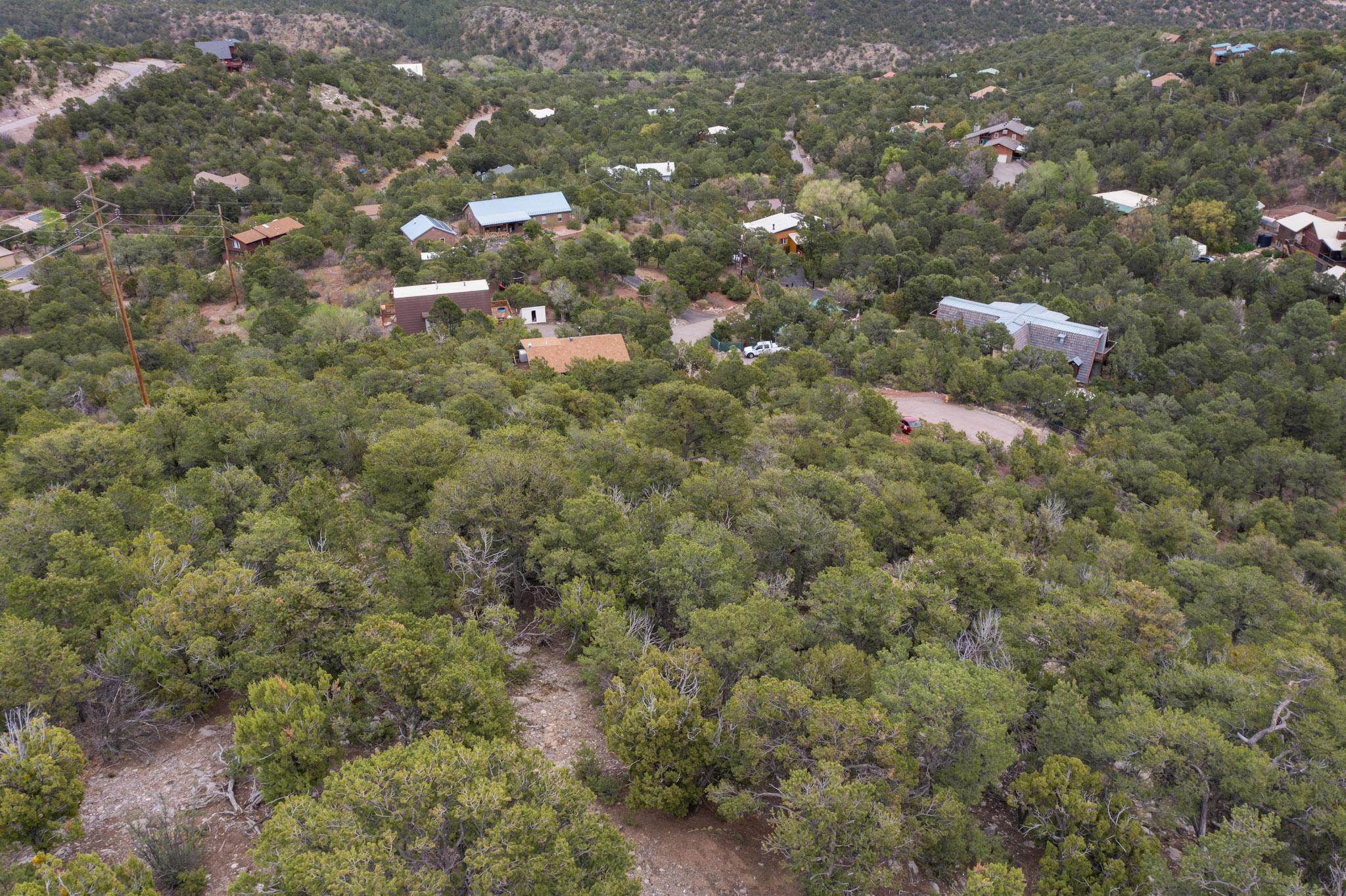 Los Amigos Court