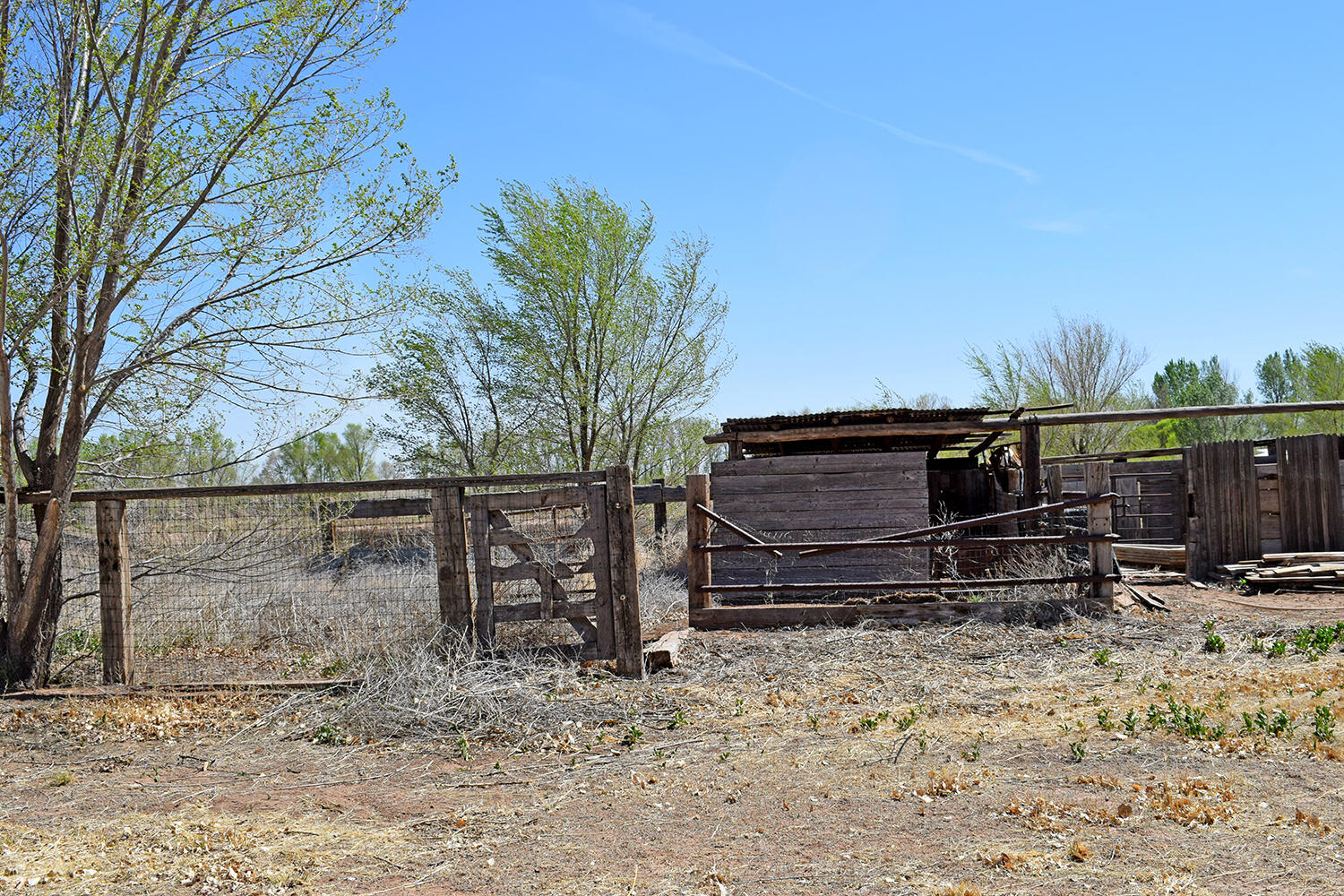 6 ORTEGA Road