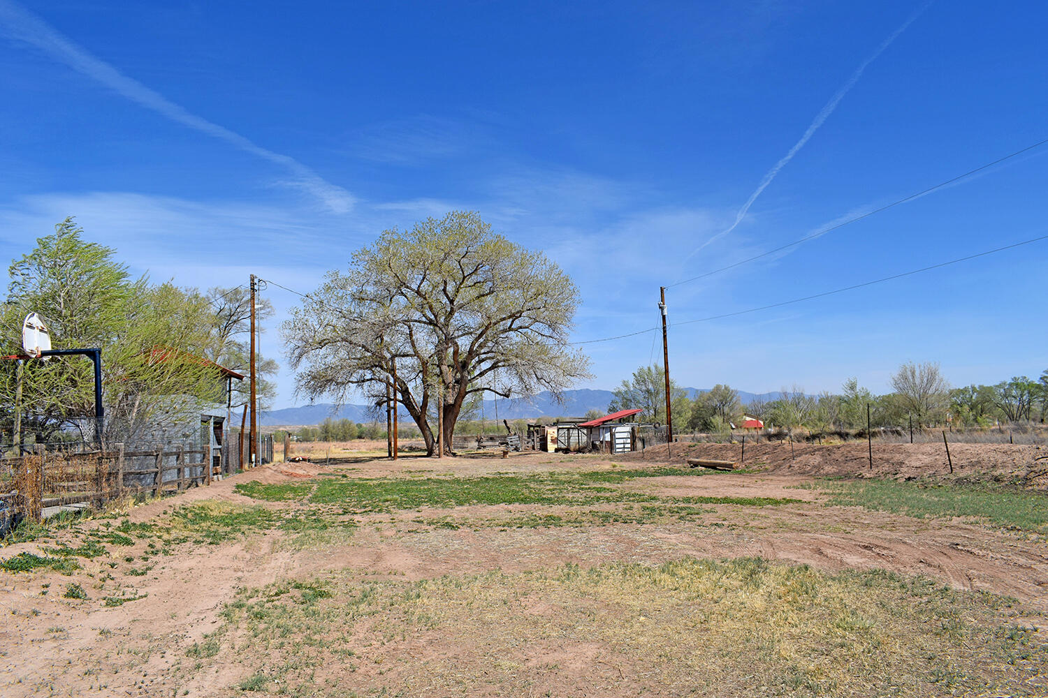 6 ORTEGA Road