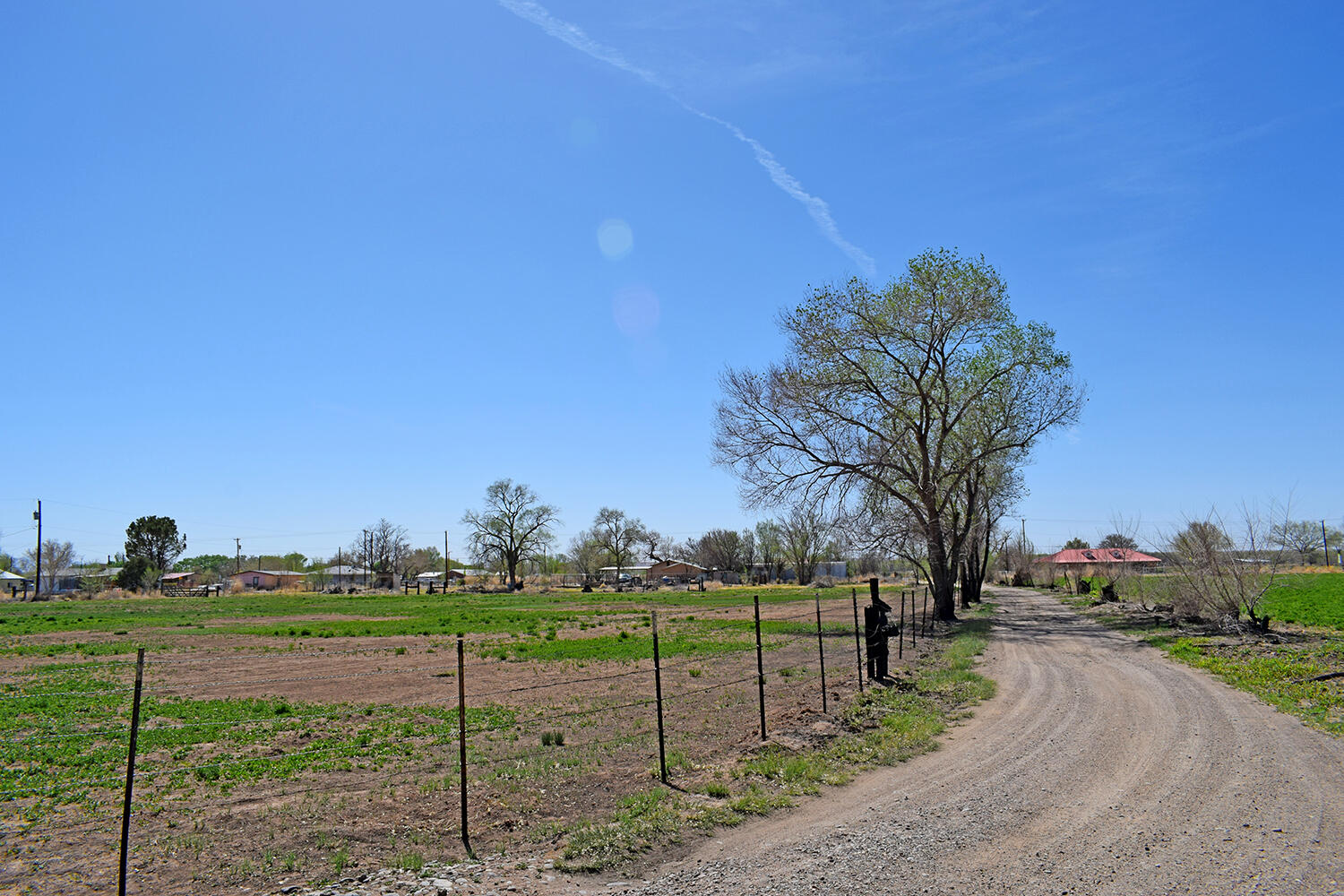 6 ORTEGA Road