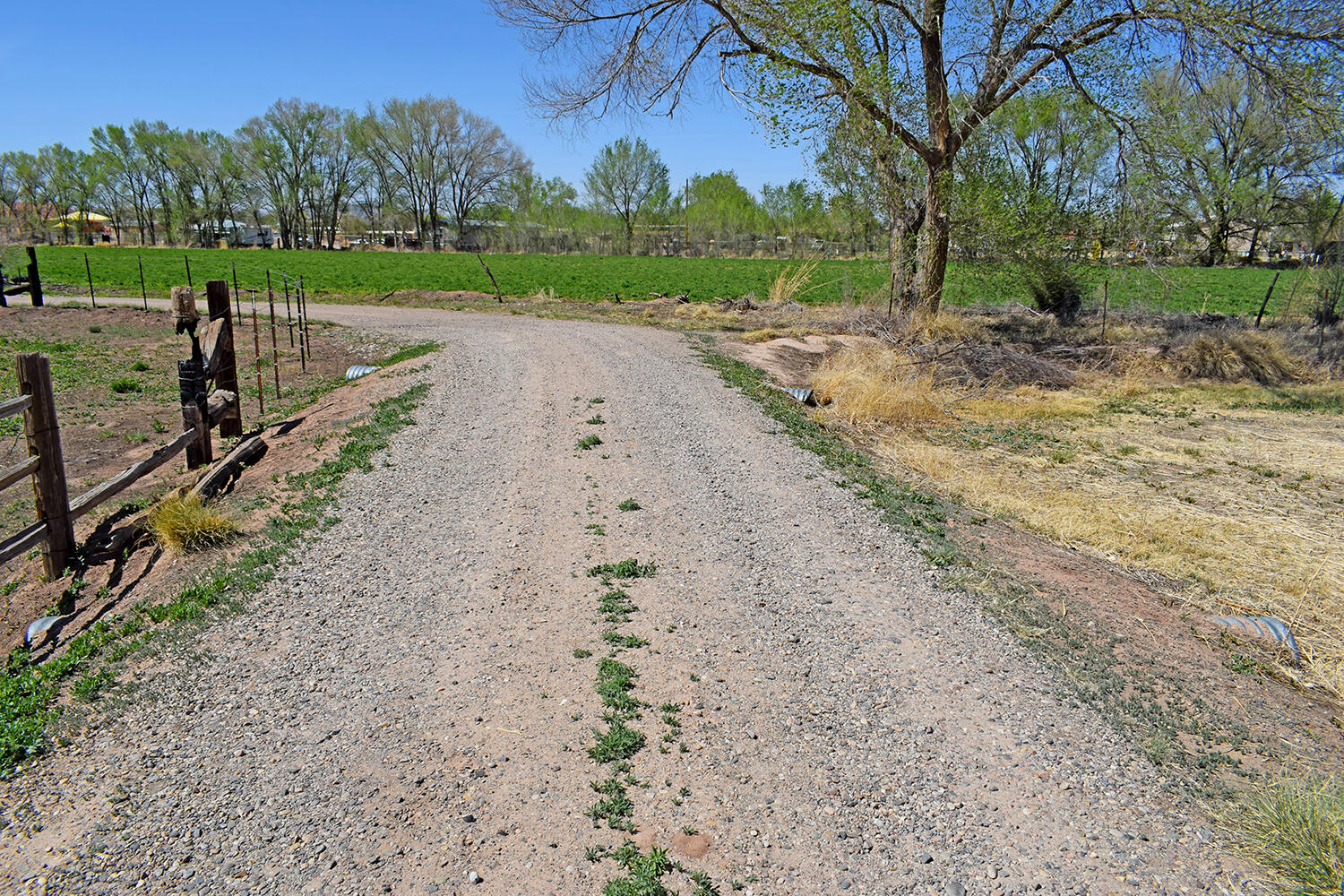 6 ORTEGA Road